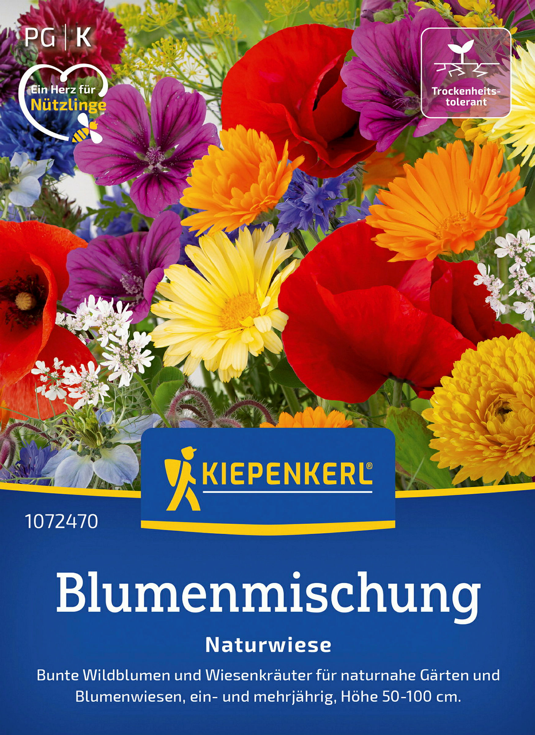 Kiepenkerl Blumenmischung Naturwiese
