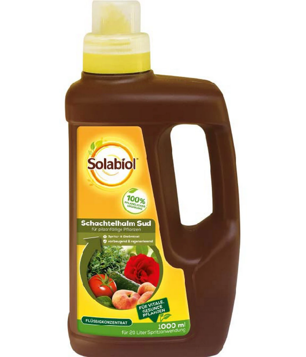 Solabiol Schachtelhalm Sud1 L