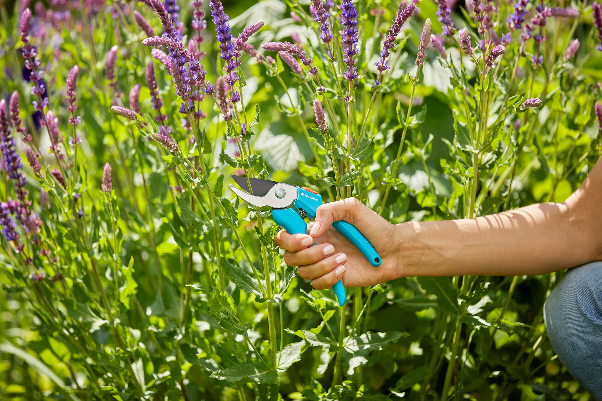GARDENA Heckenschere NatureCut mit Gartenschere