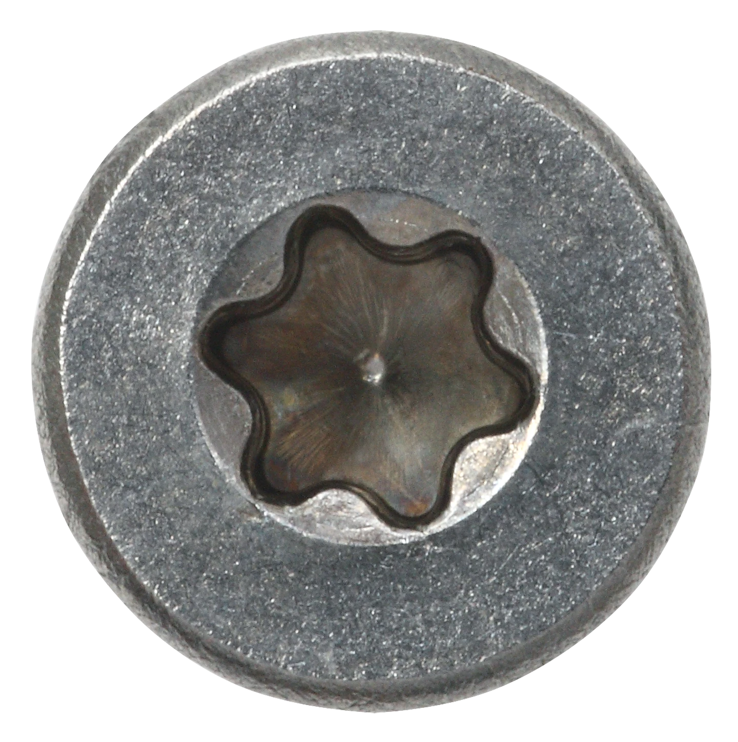 SP Innenvielzahnschraube A2 TX20, m.Bit, 145 St., 4,5 x 50