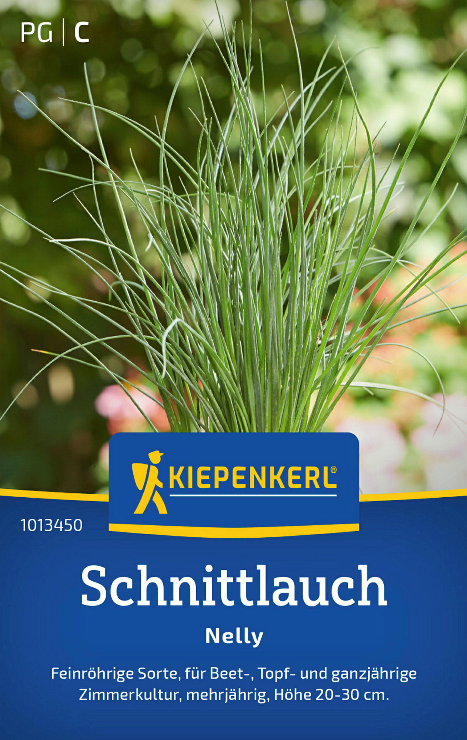 Kiepenkerl Schnittlauch Nelly