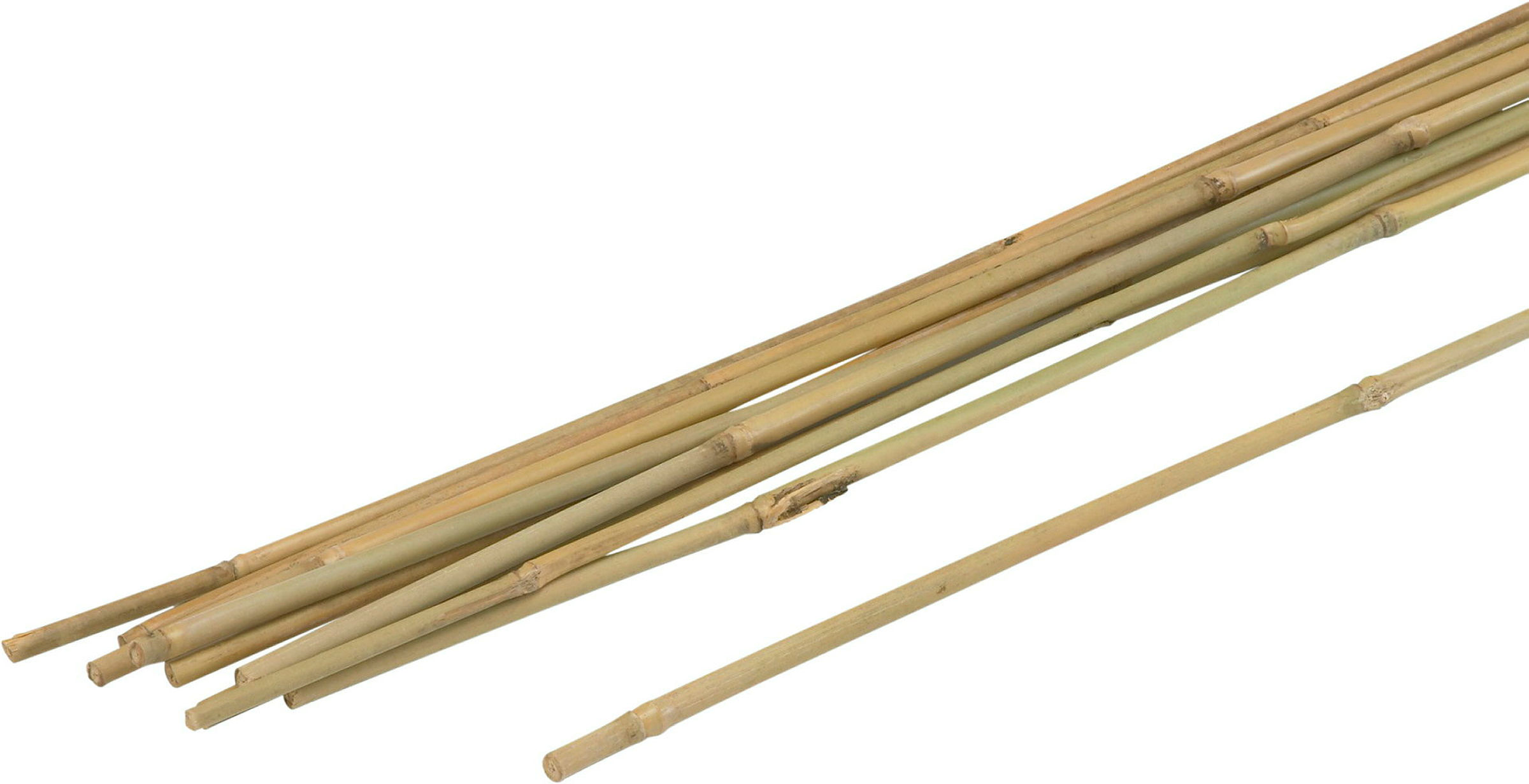 Bambus-Stab 2400 mm