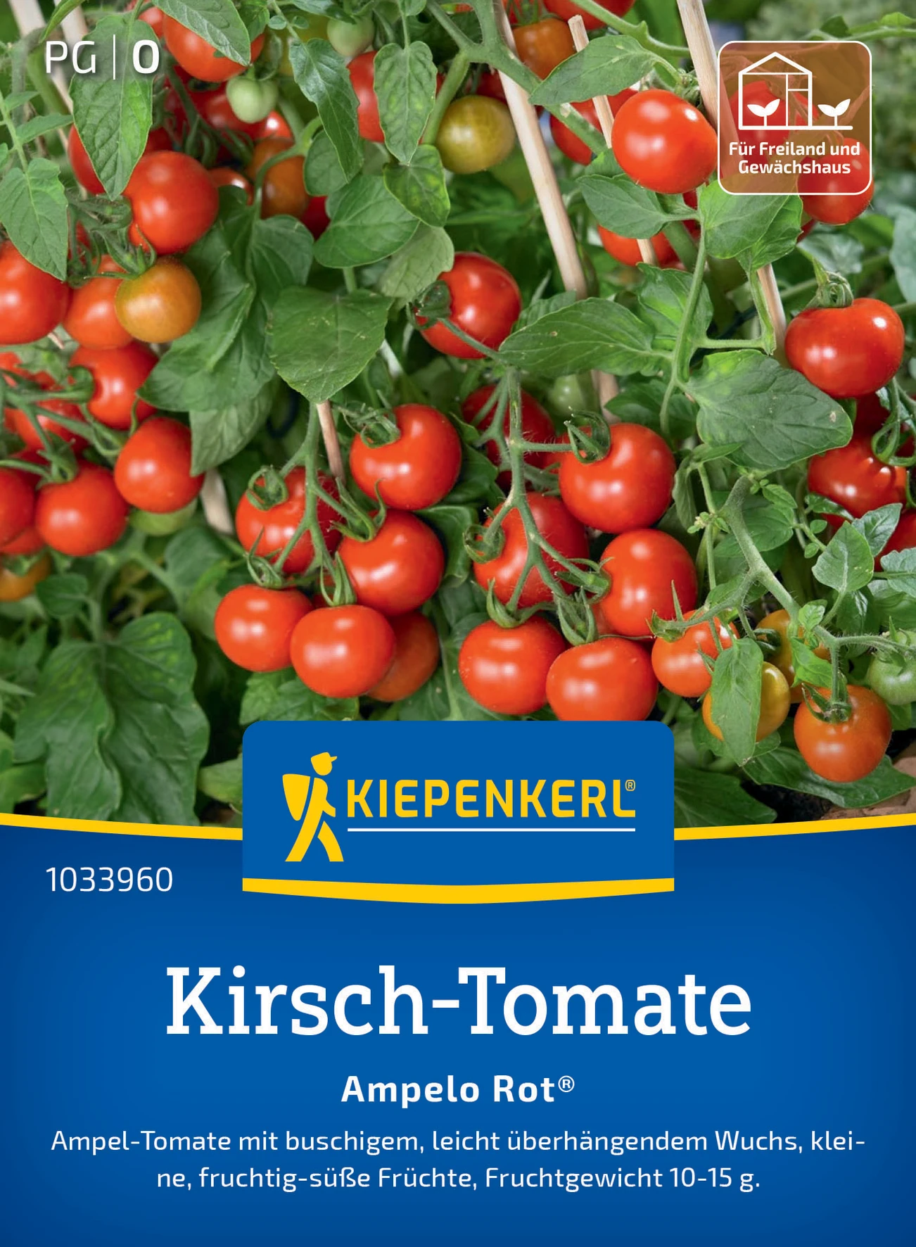 Kiepenkerl Kirsch-Tomate Ampelo Rot®, F1