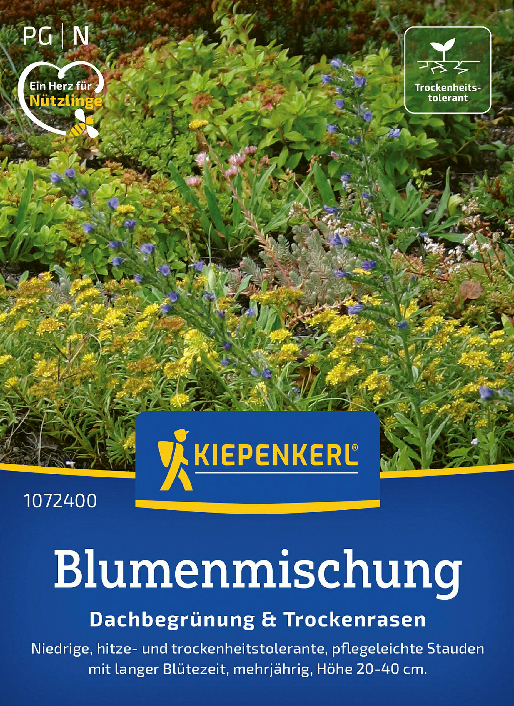 Kiepenkerl Blumenmischung Dachbegrünung & Trockenrasen