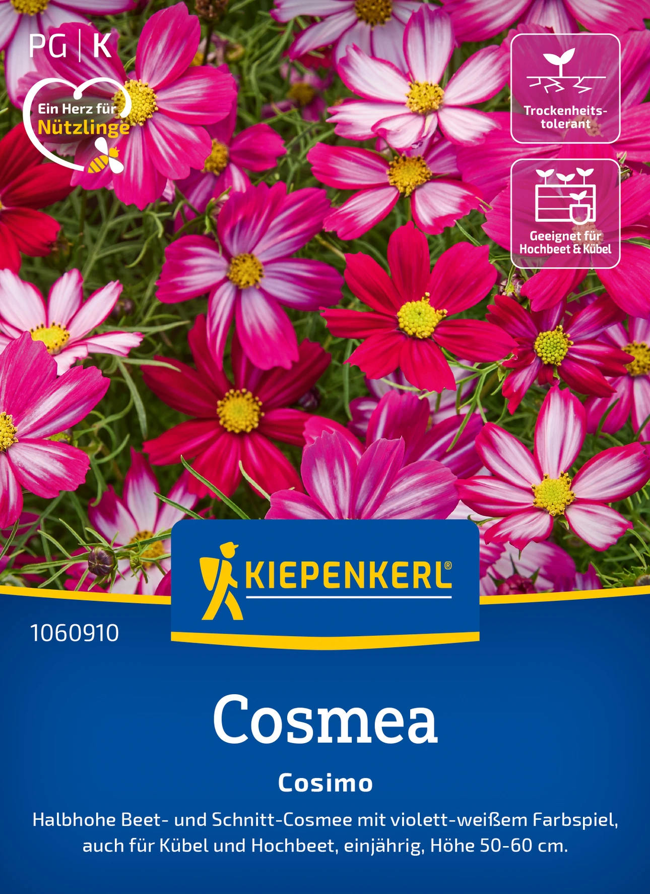 Kiepenkerl Cosmos Cosimo