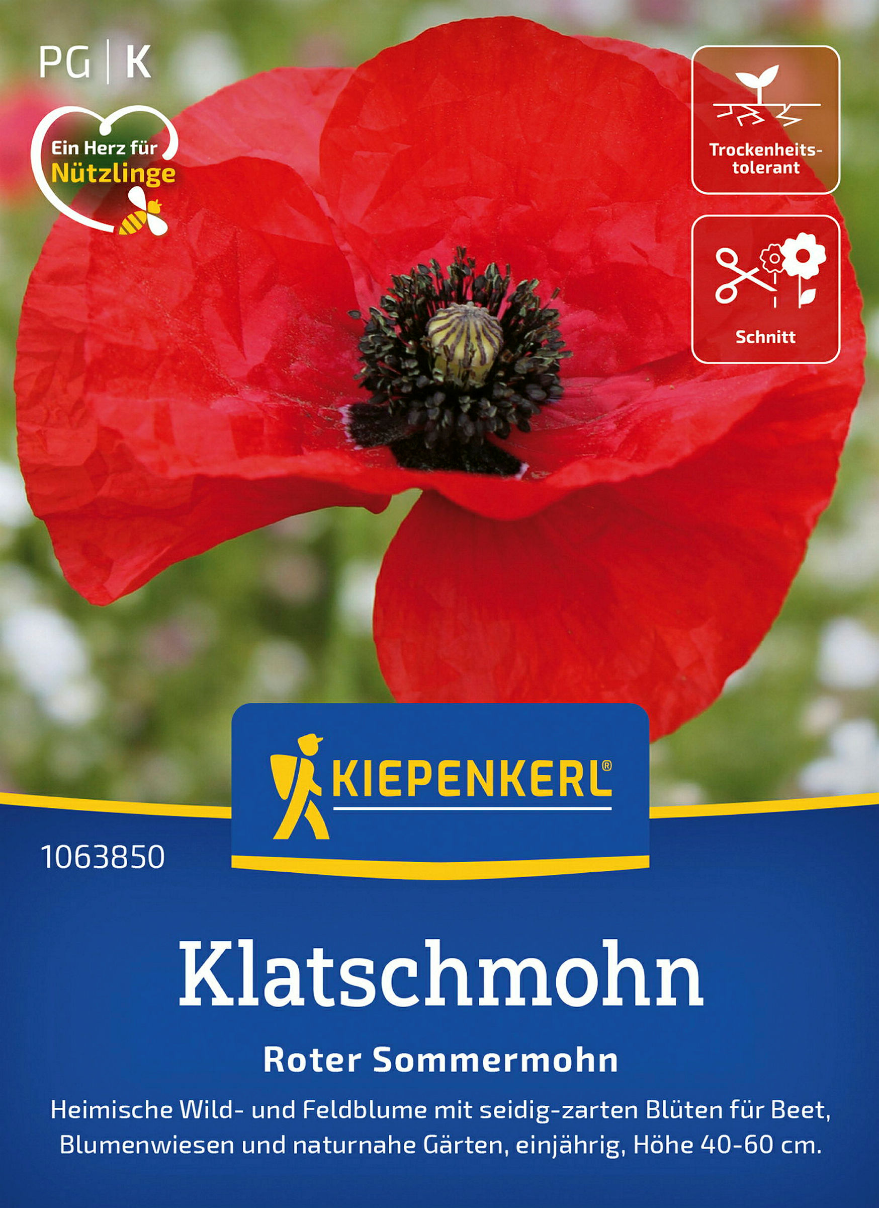 Kiepenkerl Klatschmohn