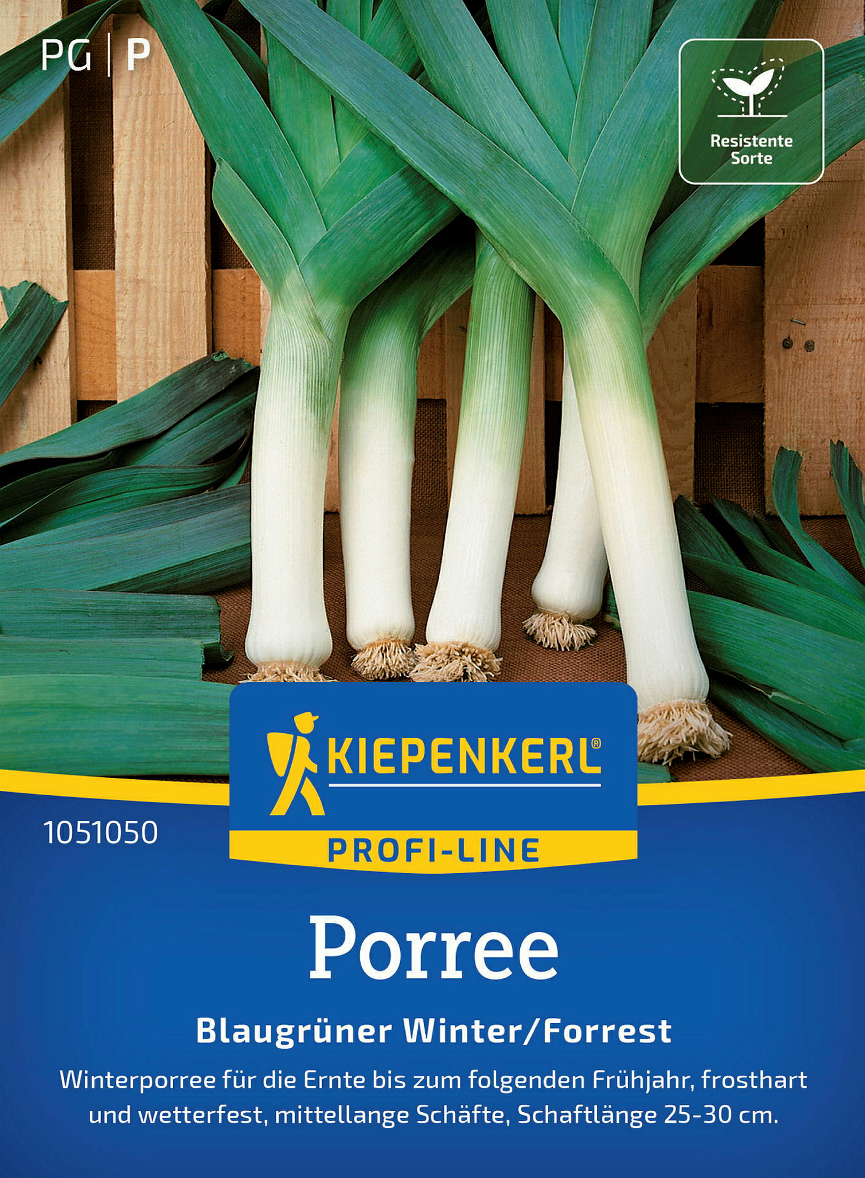 Kiepenkerl Porree Blaugrüner Winter/Forrest