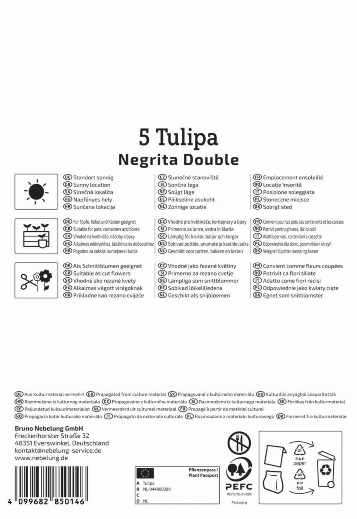 Gefüllte Späte Tulpe Negrita Double