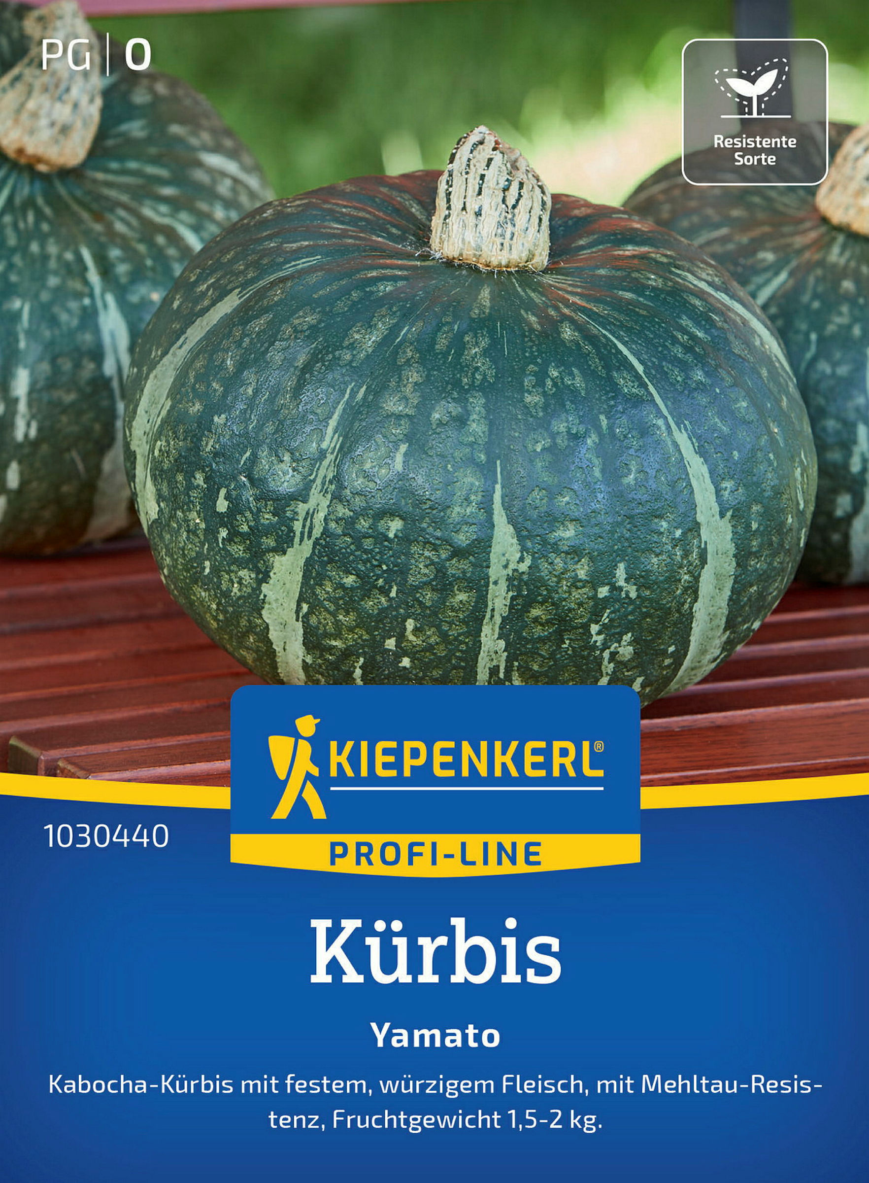 Kiepenkerl Kürbis Yamato, F1