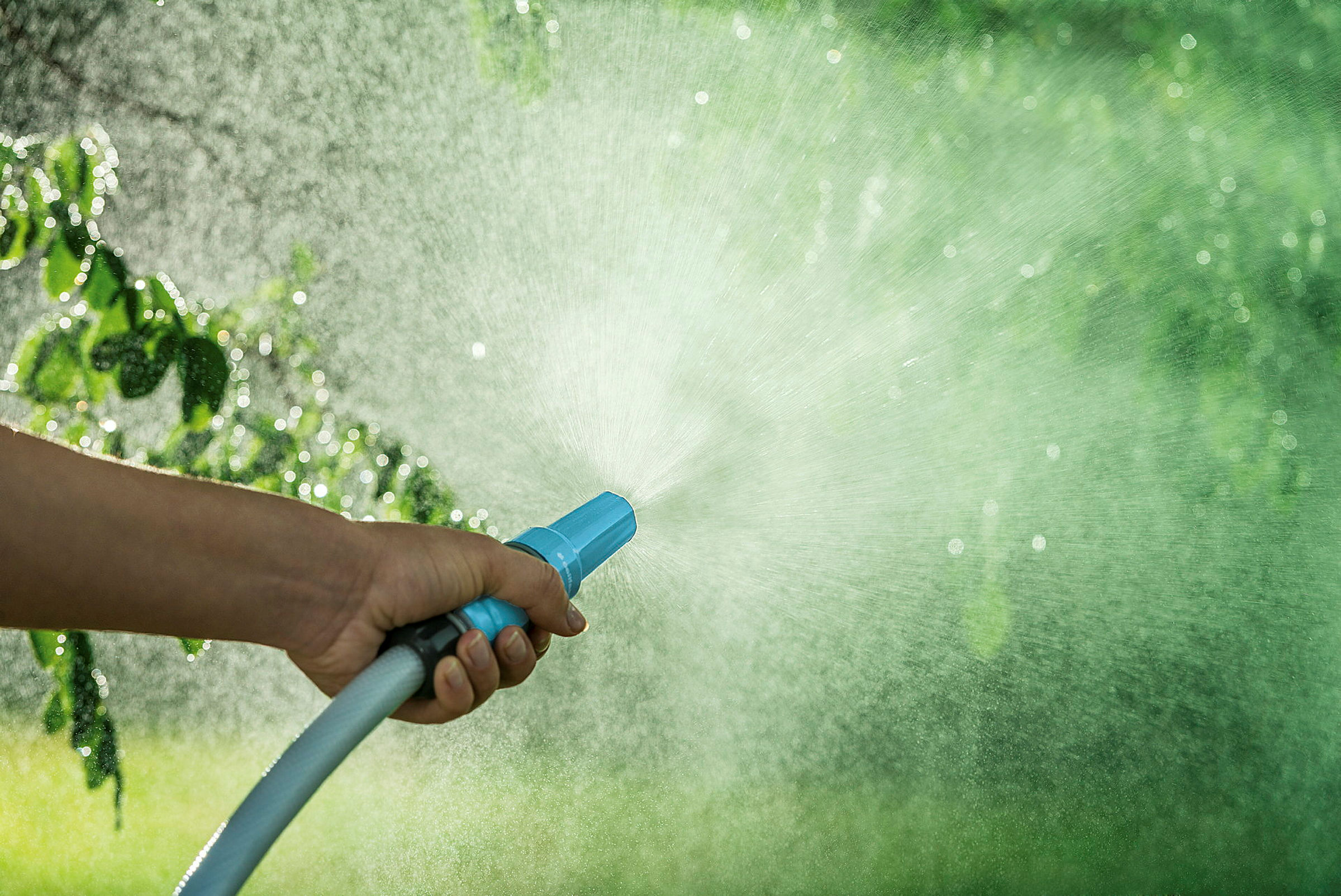 Einfache Spritze CELLPRO