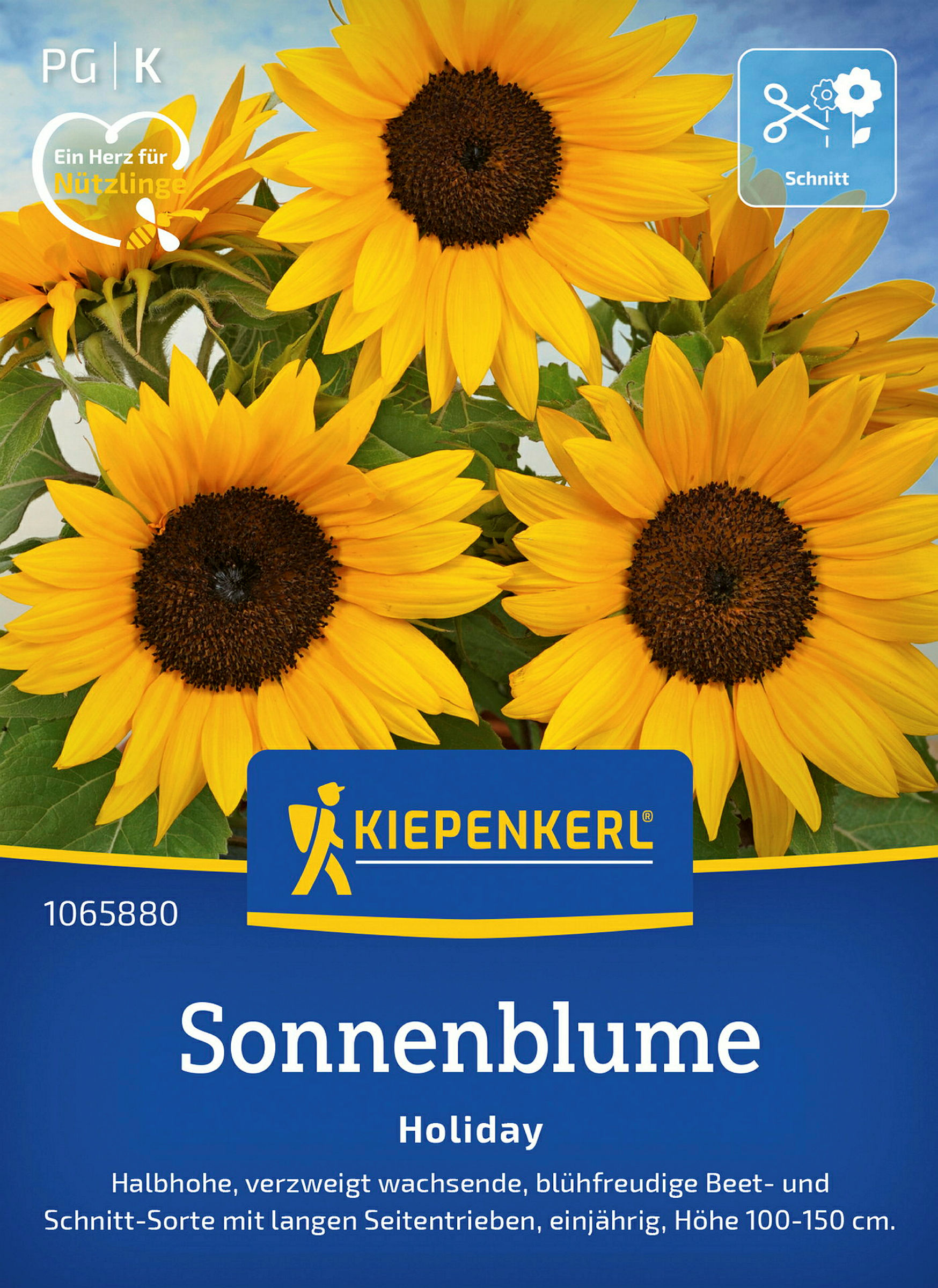 Kiepenkerl Sonnenblume Holiday