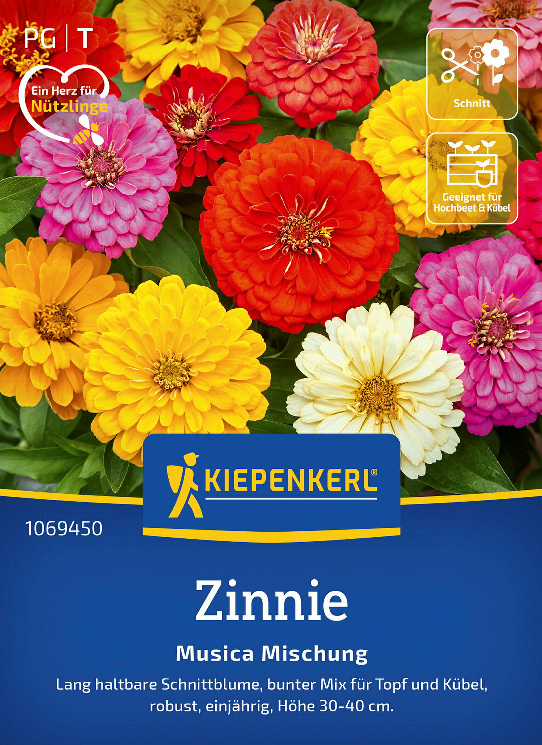 Kiepenkerl Zinnie Musica Mischung