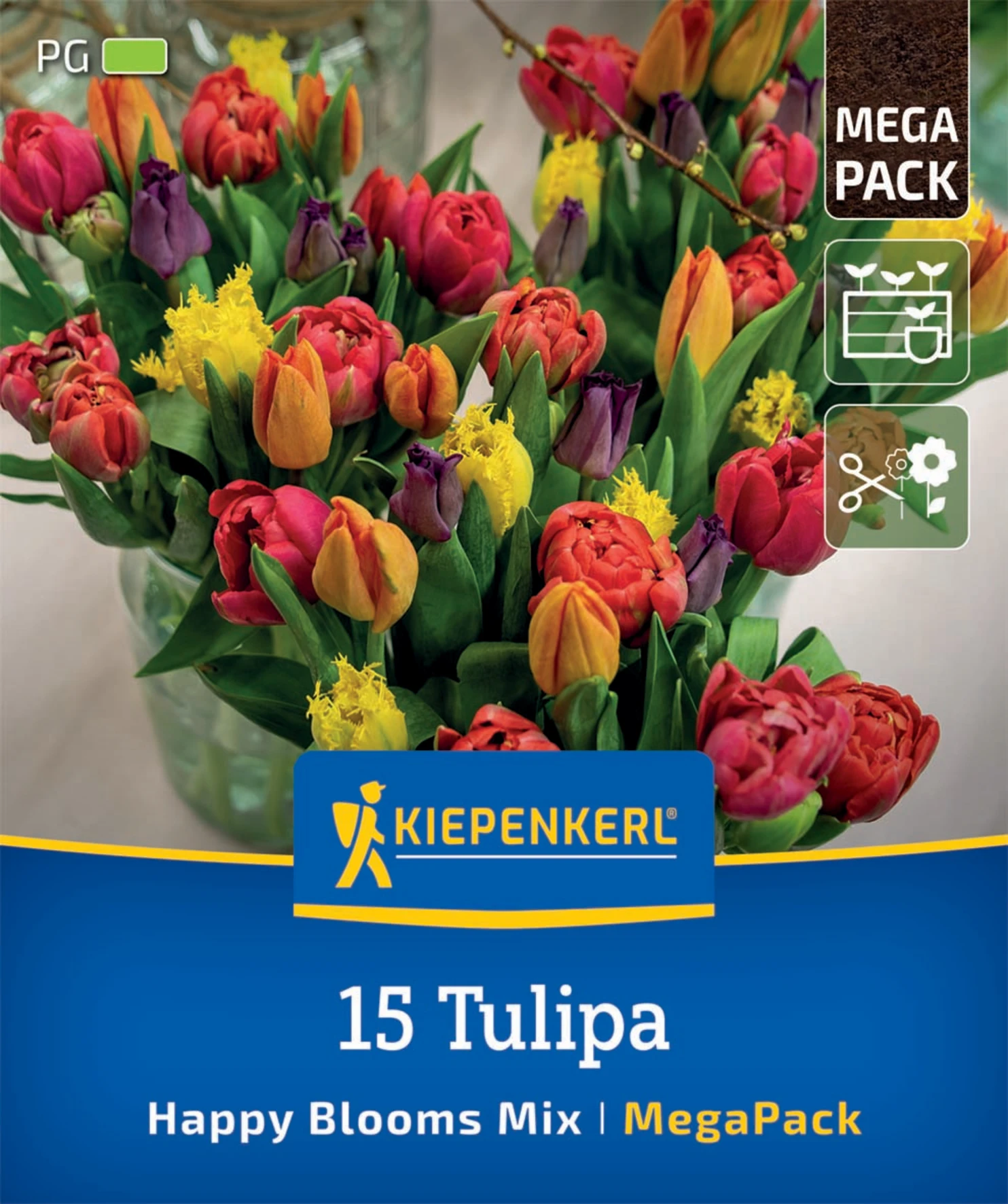 Mega-Pack Tulpenmischung Happy Bloom Mix