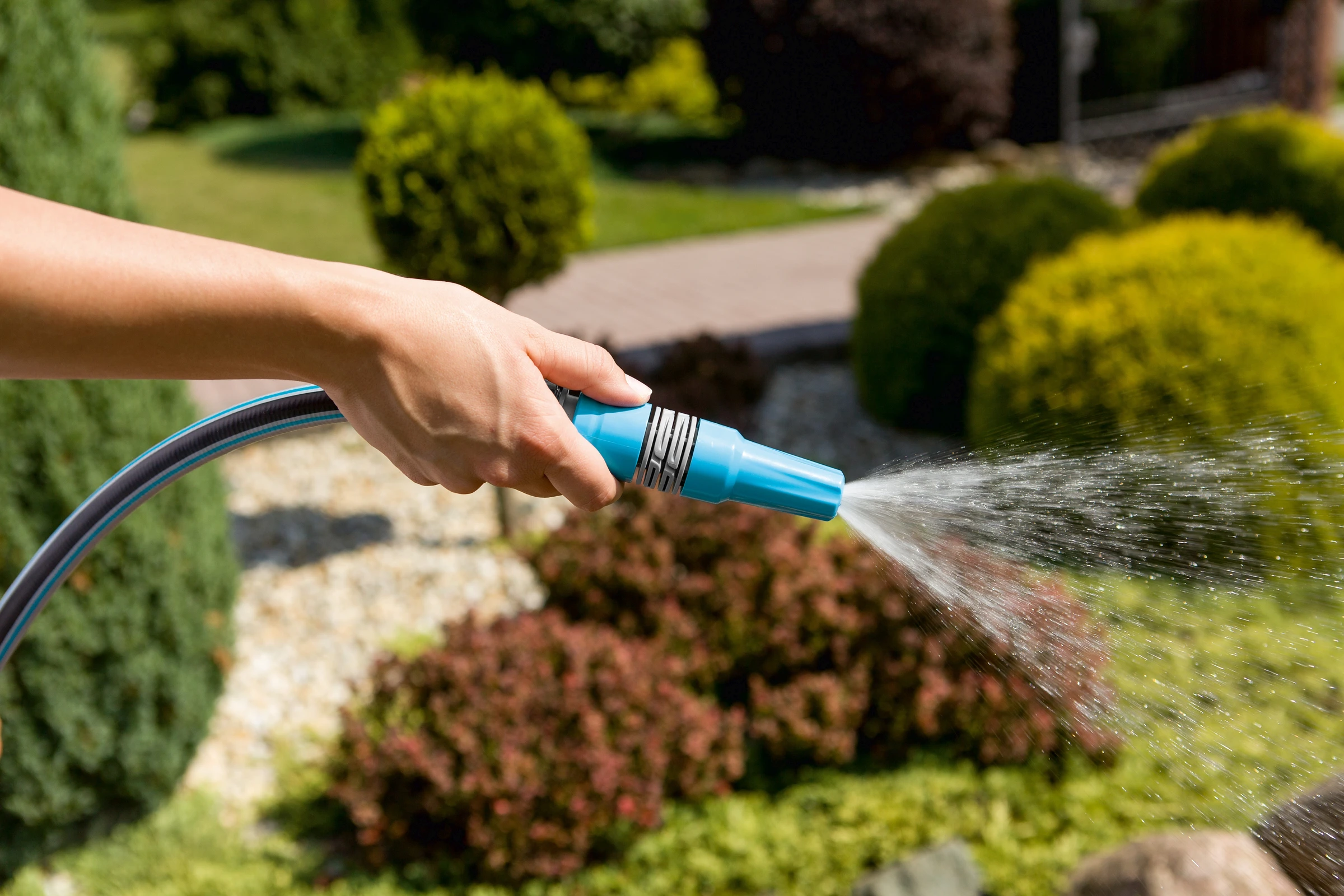 Einfache Spritze CELLPRO