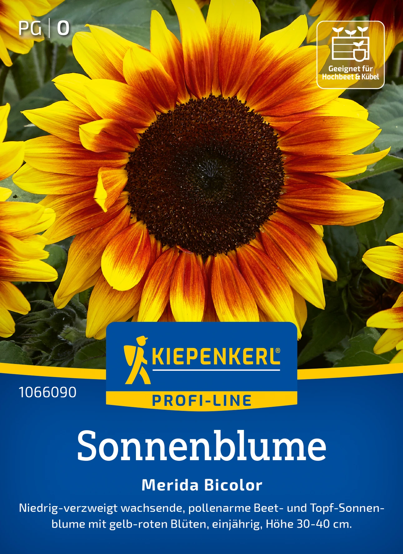 Kiepenkerl Sonnenblume Merida Bicolor, F1