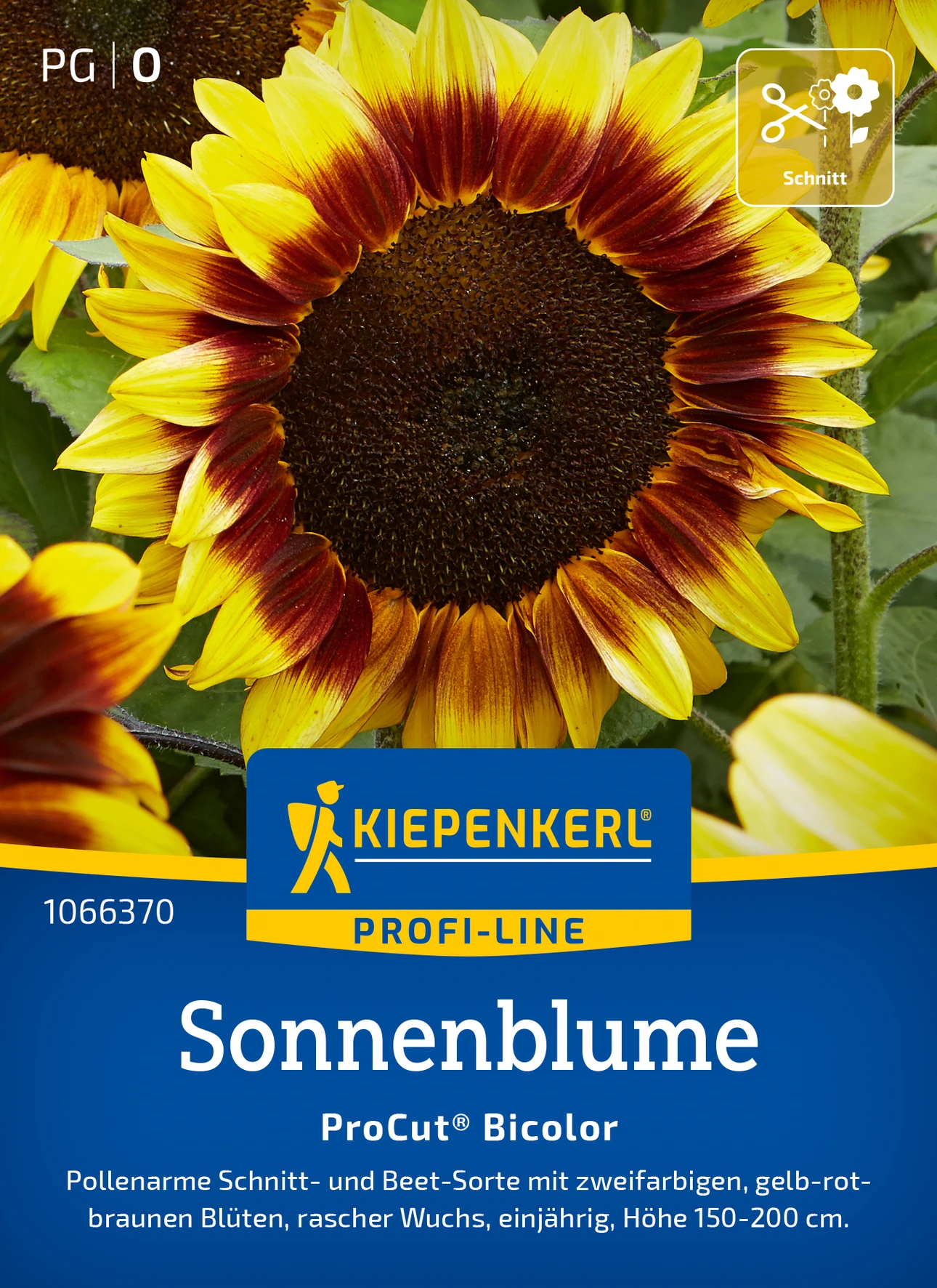 Kiepenkerl Sonnenblume ProCut® Bicolor, F1