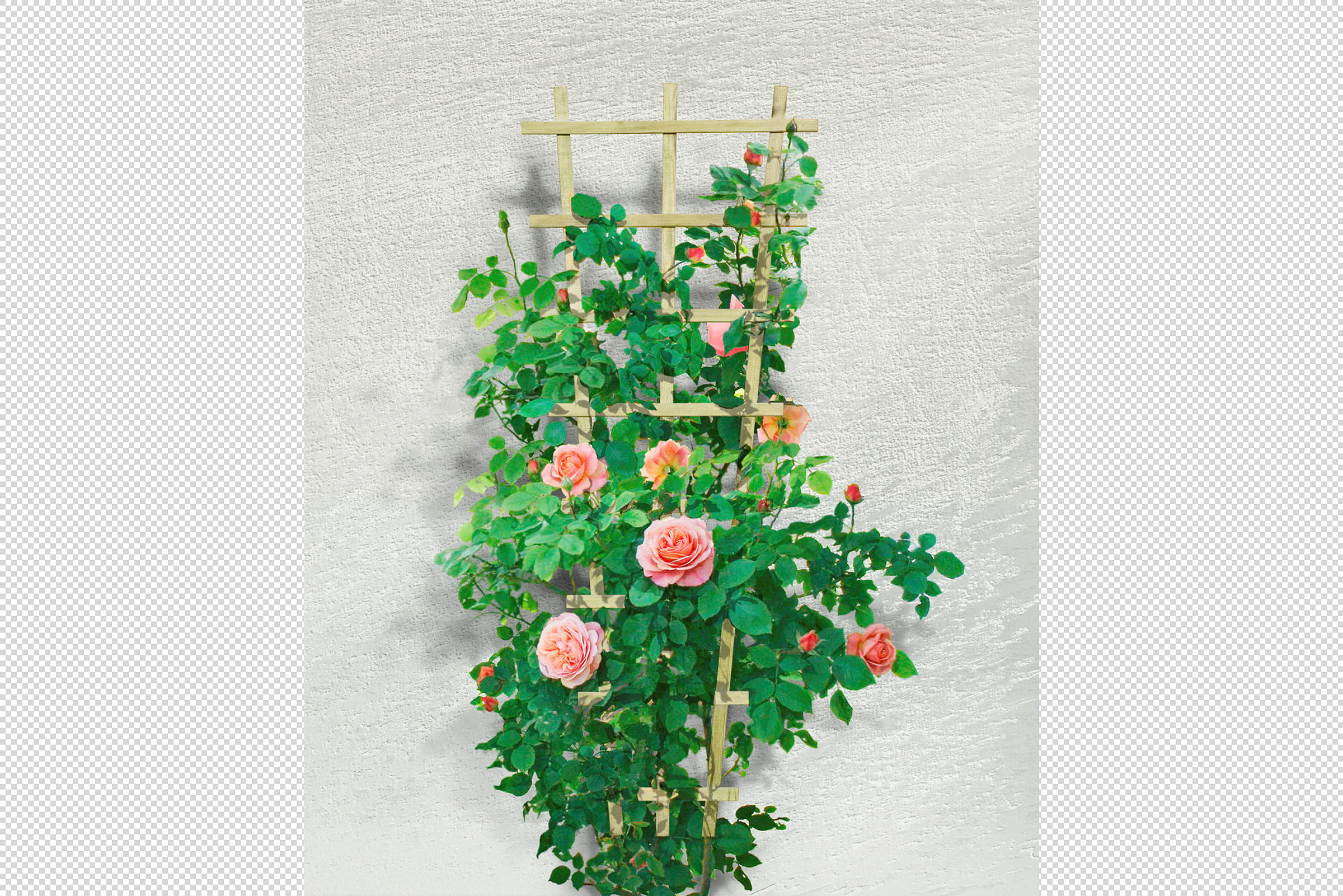 Rosenspalier 30/60x150cm