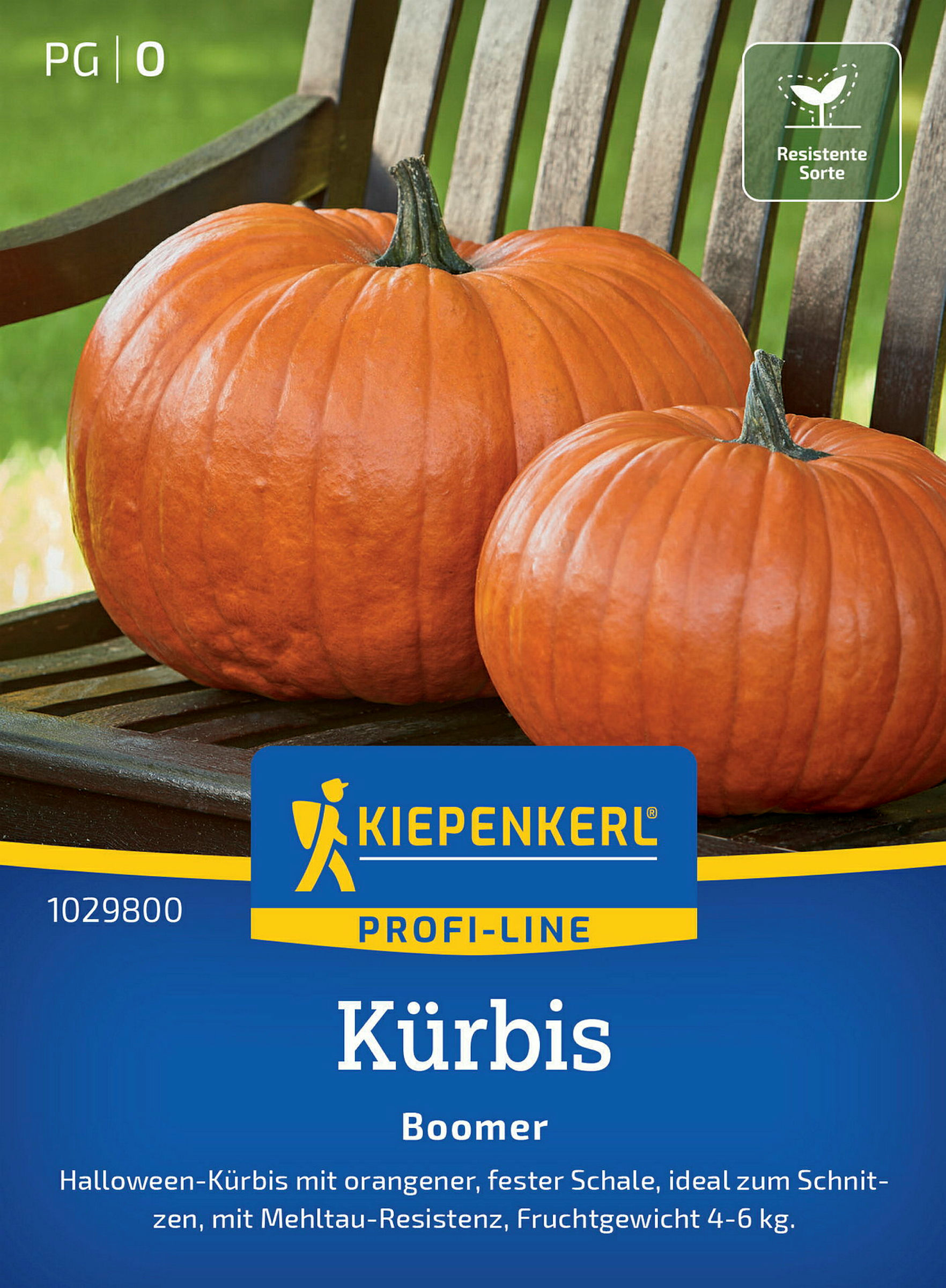 Kiepenkerl Kürbis Boomer, F1