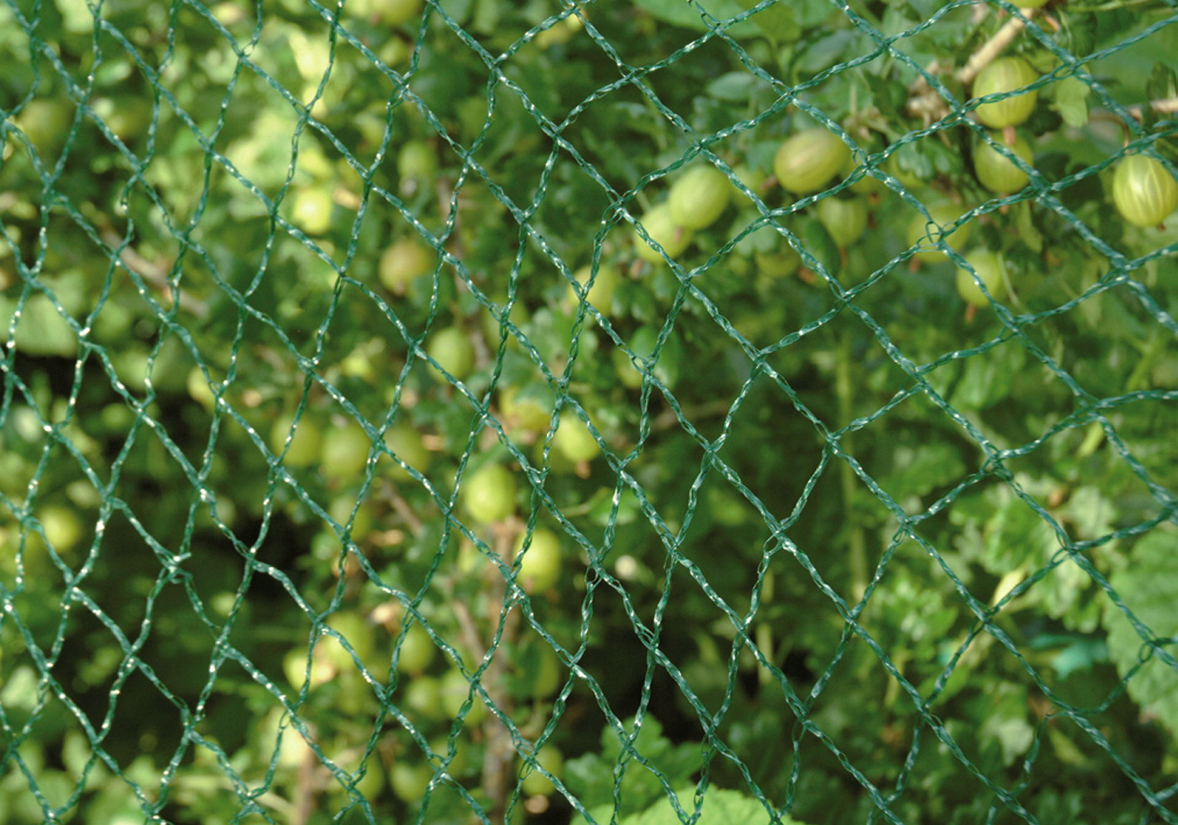 Vogelschutznetz Comfort, Maße: 5 x 4 m, MW: 2,5 x 2,5 cm, HDPE, grün