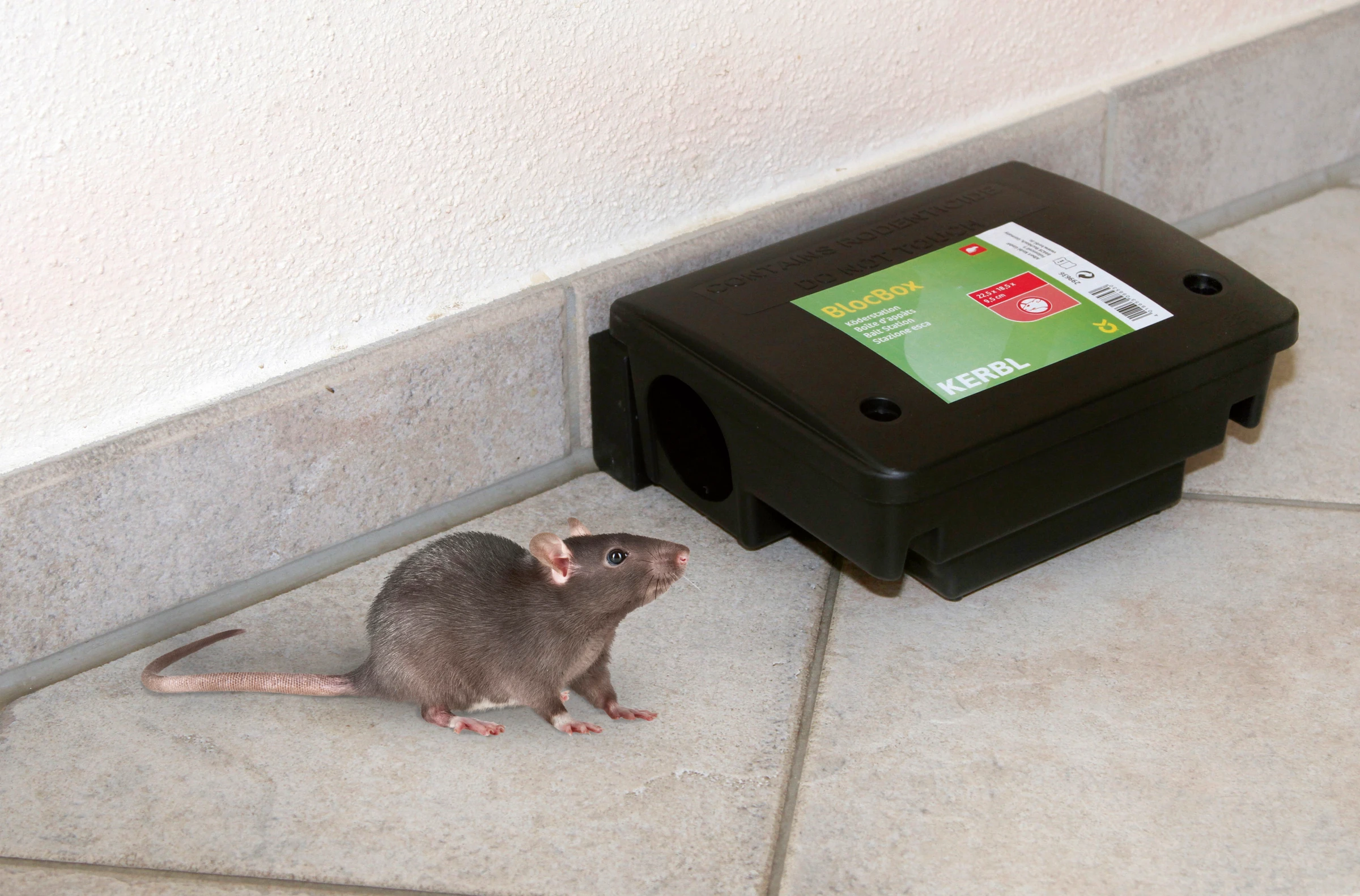 Köderstation BlocBox Beta 22,5x18,5x9,5cm, gegen Ratten