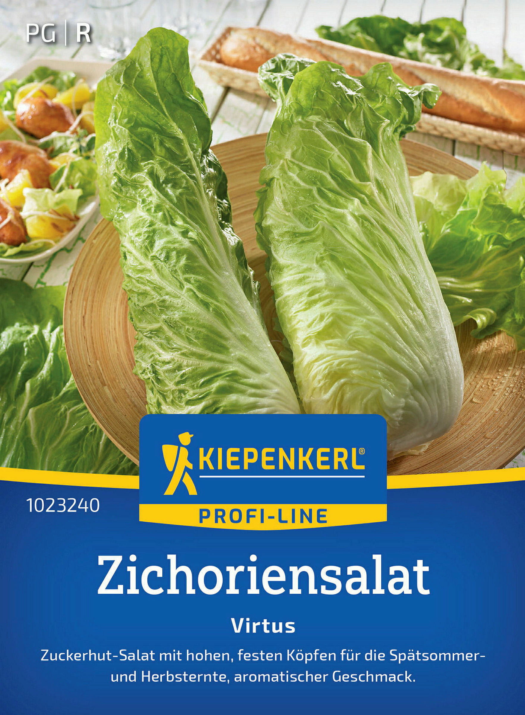 Kiepenkerl Zichoriensalat Virtus, F1