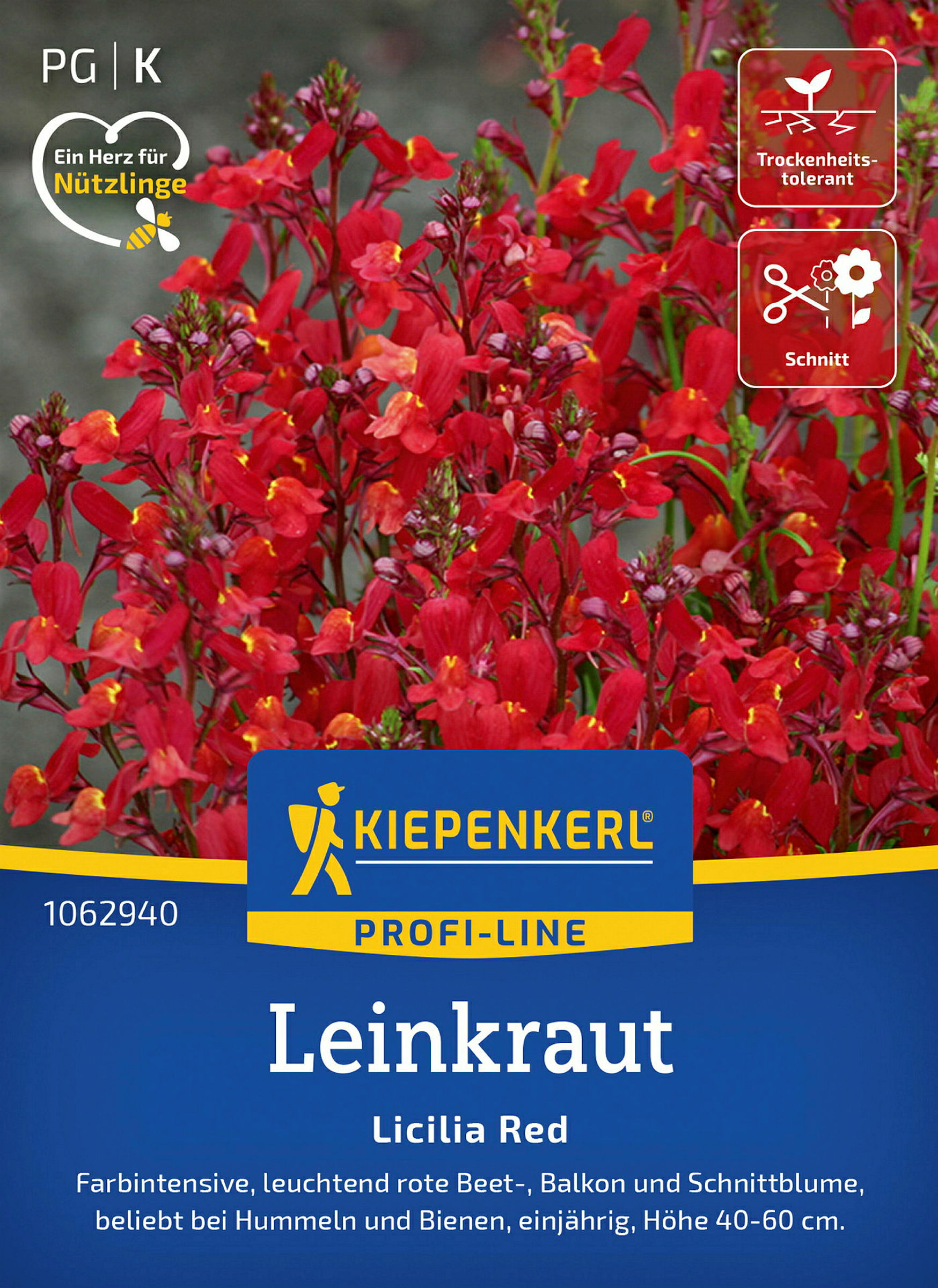 Kiepenkerl Leinkraut Licilia Red