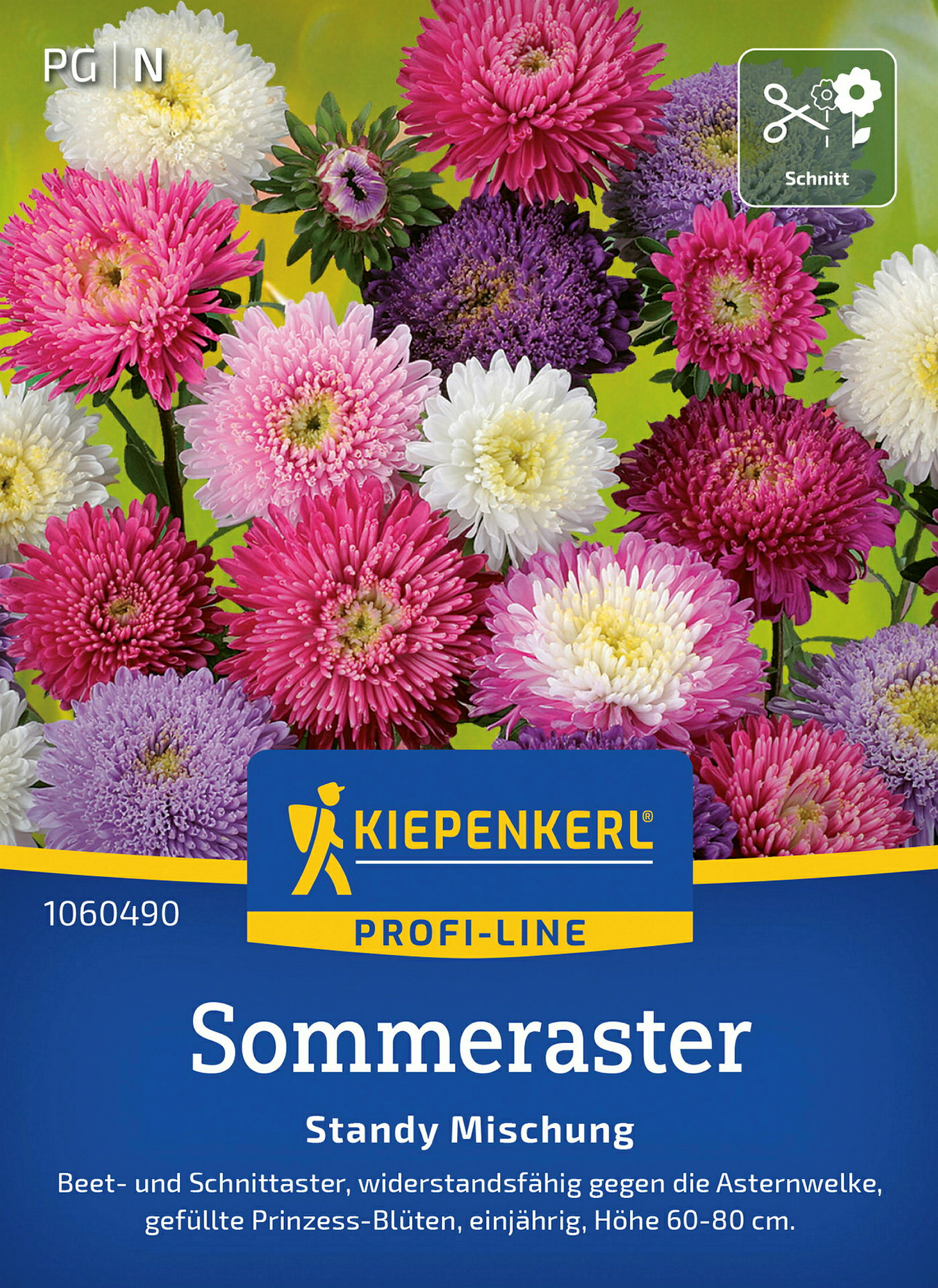 Kiepenkerl Sommeraster Standy Mischung