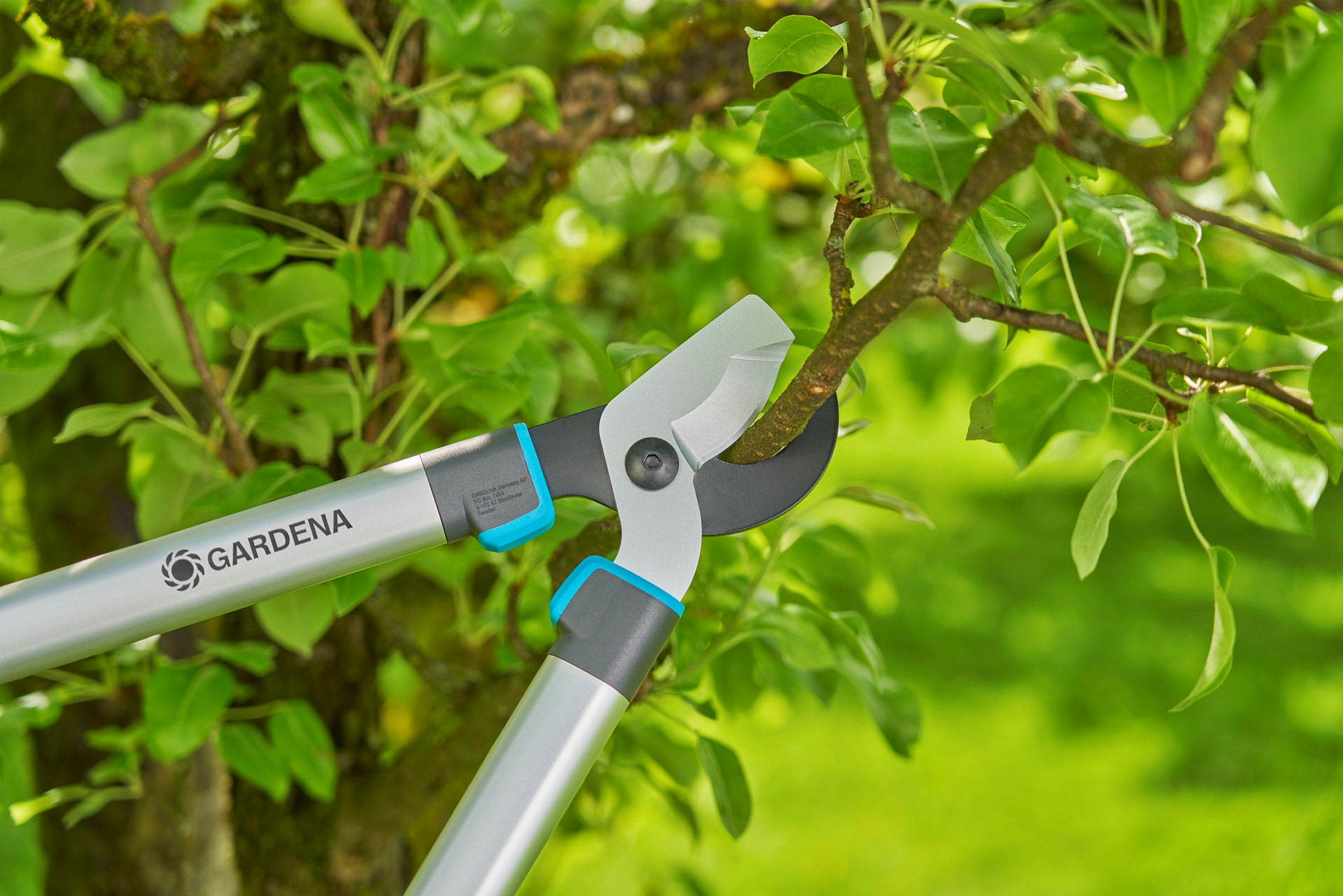 GARDENA Astschere EasyCut L Display Set, Bypass-Schneidprinzip