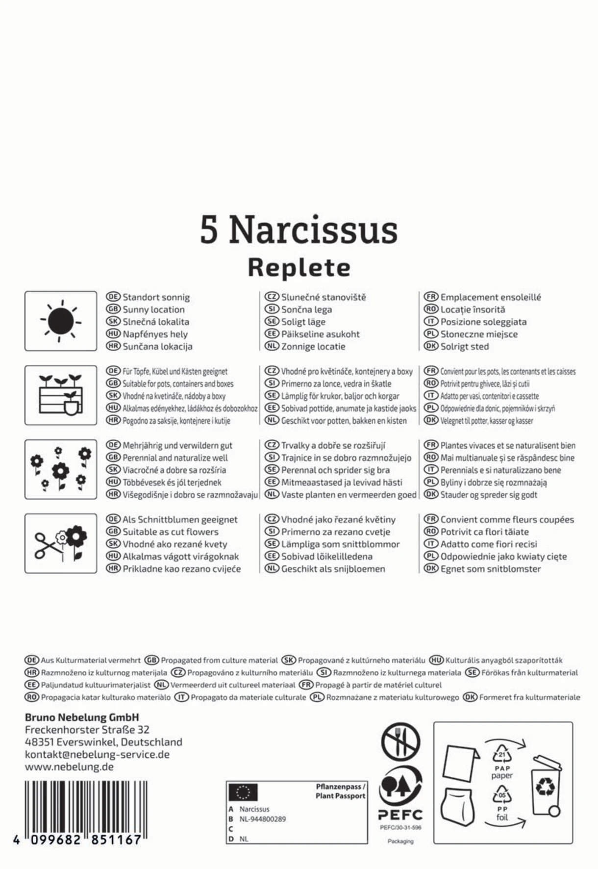 Gefüllte Narzisse Replete