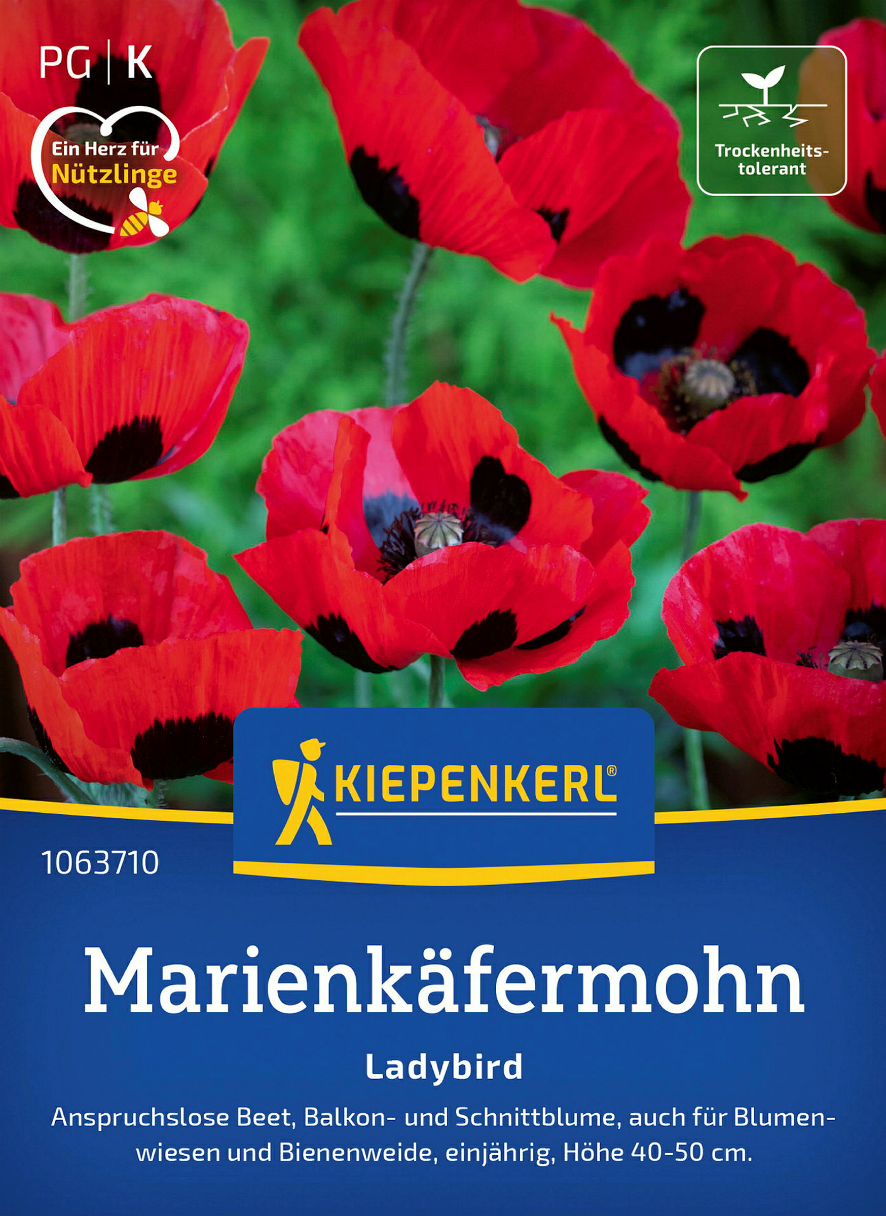 Kiepenkerl Marienkäfermohn Ladybird