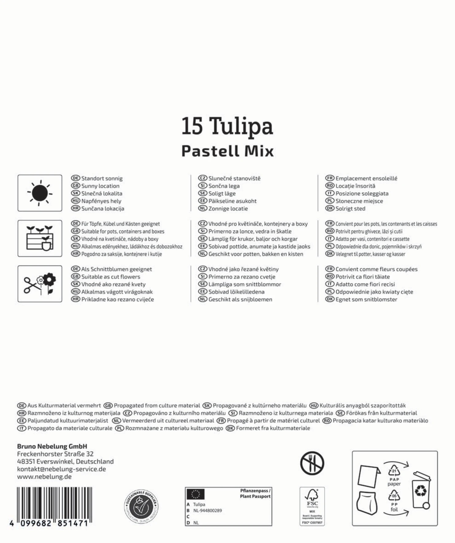 Mega-Pack Triumph-Tulpe Pastell Farbenspiel