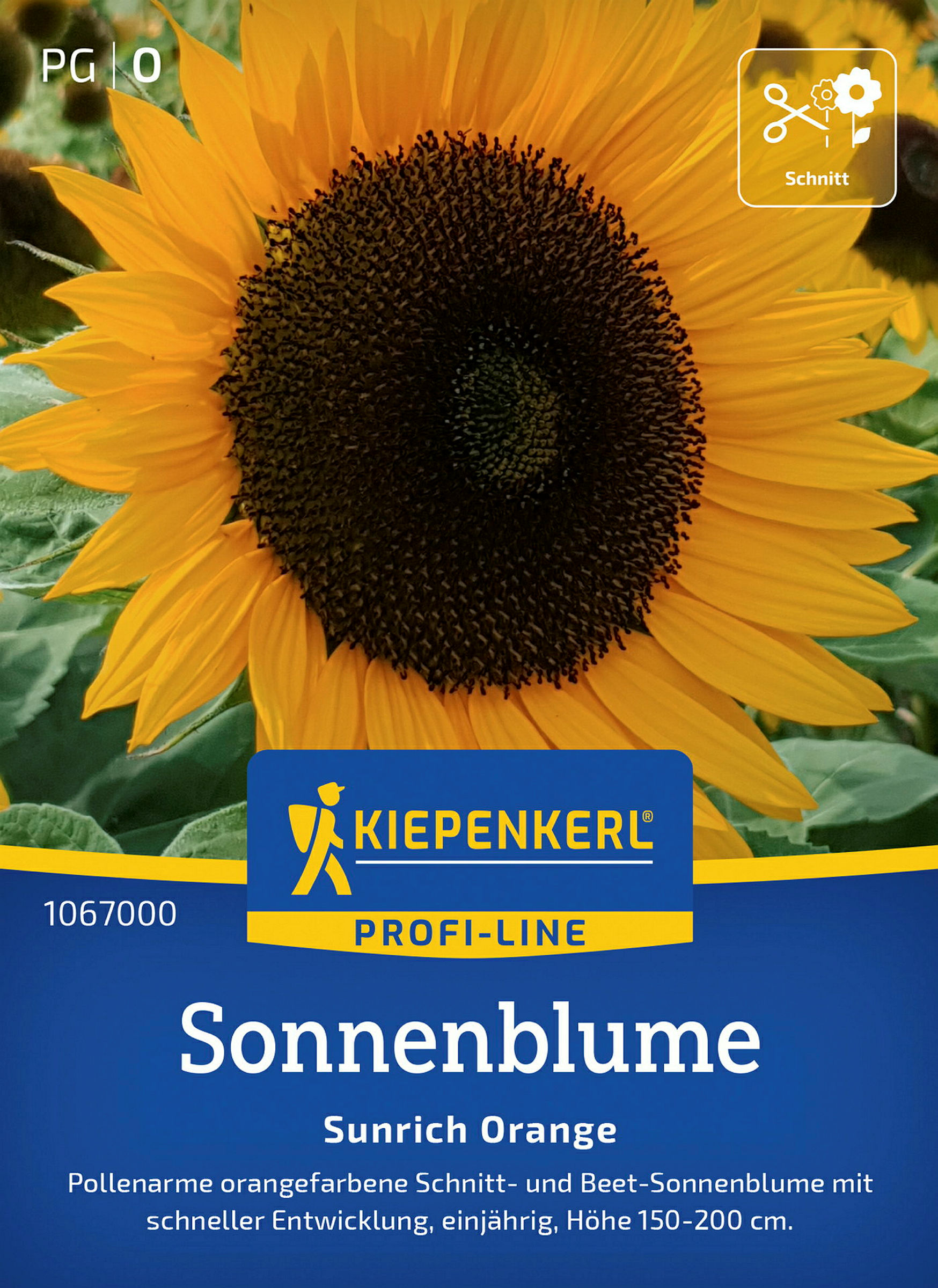Kiepenkerl Sonnenblume Sunrich Orange, F1