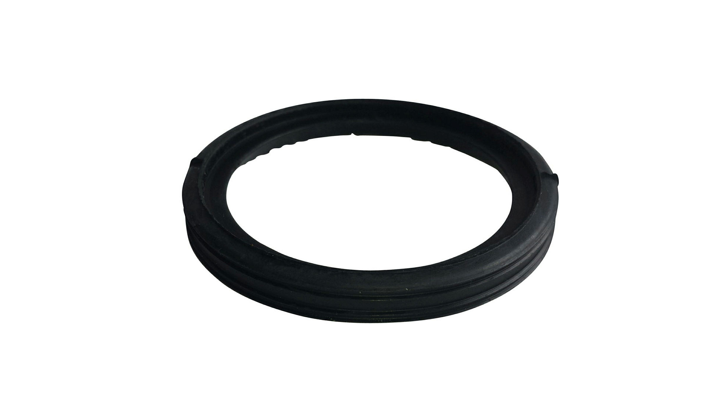 Ersatz-Lippendichtring (Typ ''BL-Ring'')