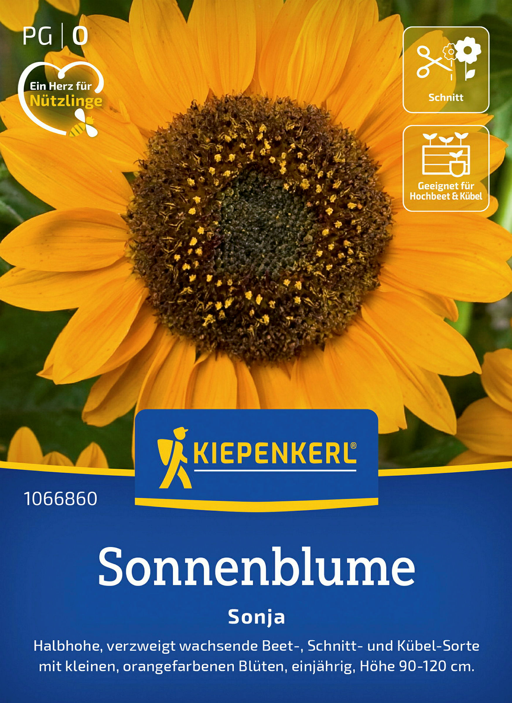 Kiepenkerl Sonnenblume Sonja