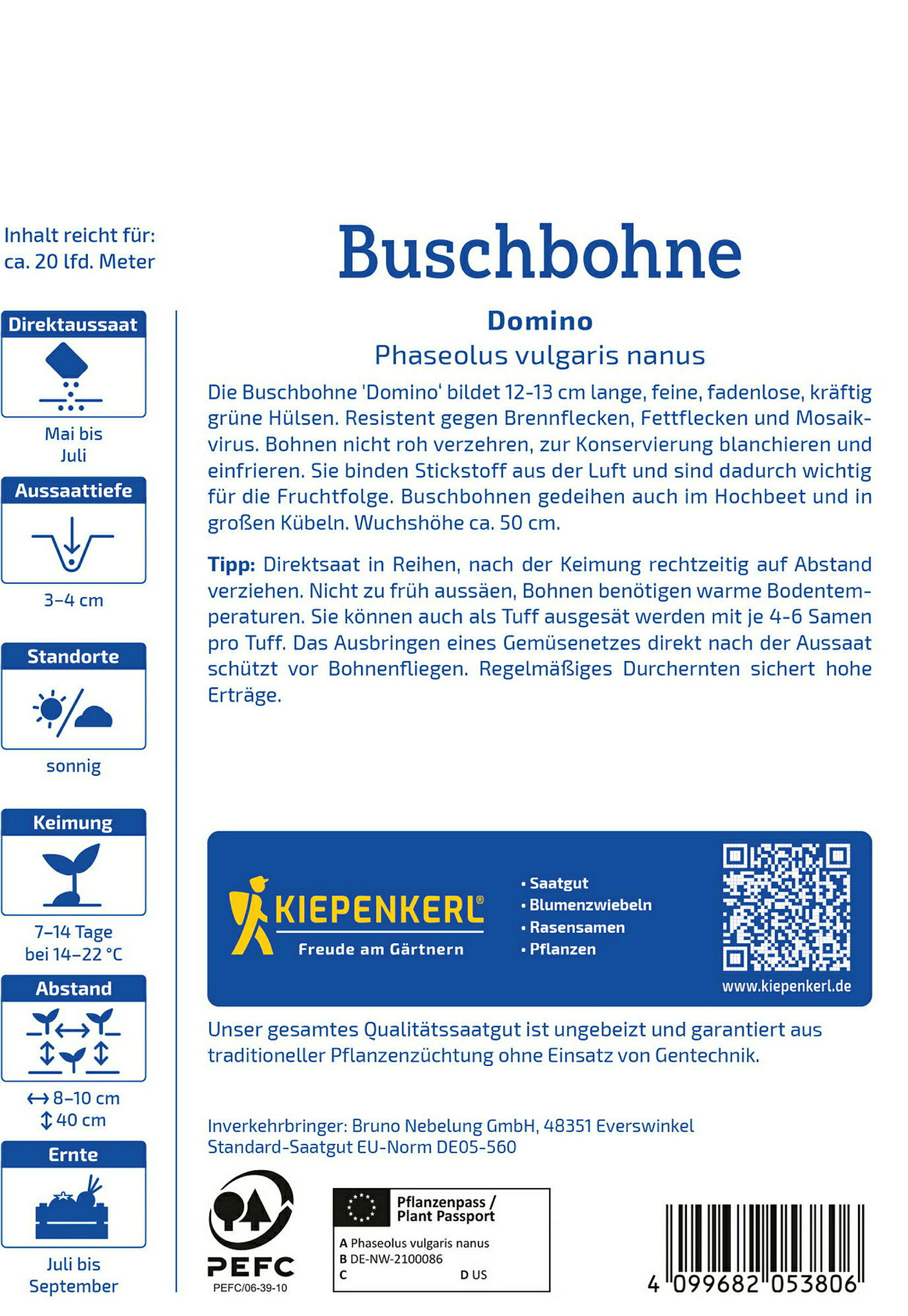 Kiepenkerl Buschbohne Domino, Vorteilspackung