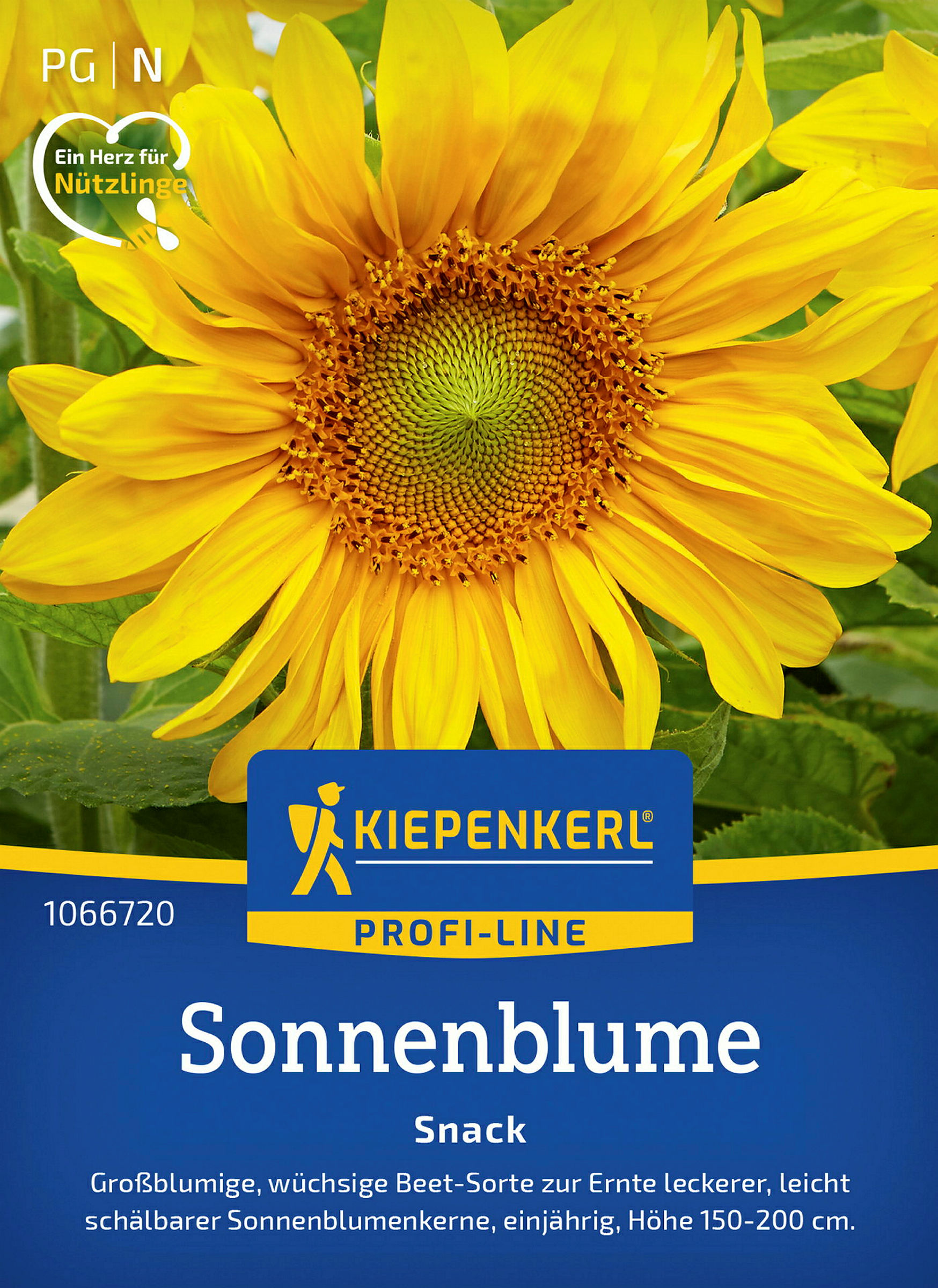 Kiepenkerl Sonnenblume Snack