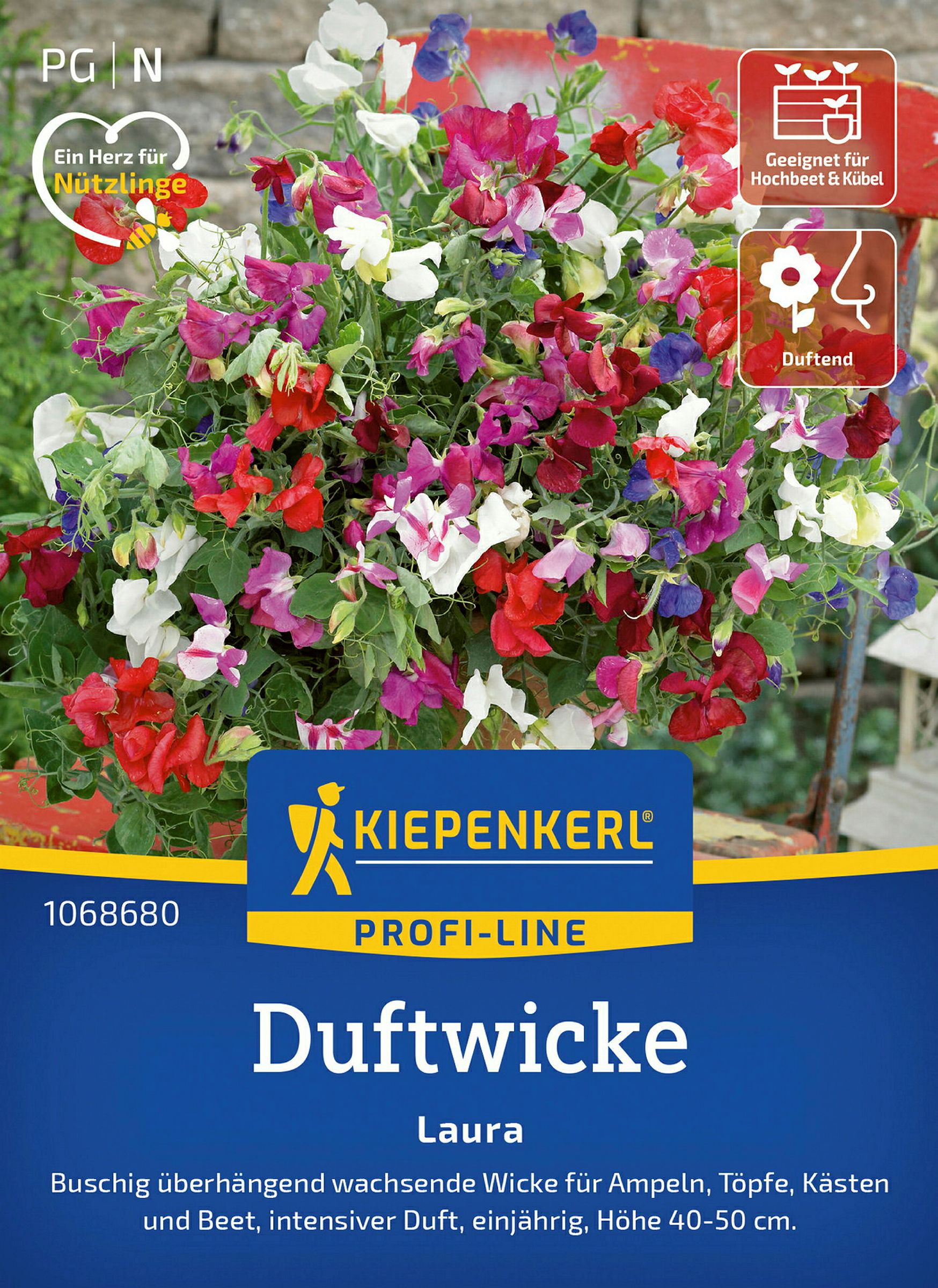 Kiepenkerl Duftwicke Laura