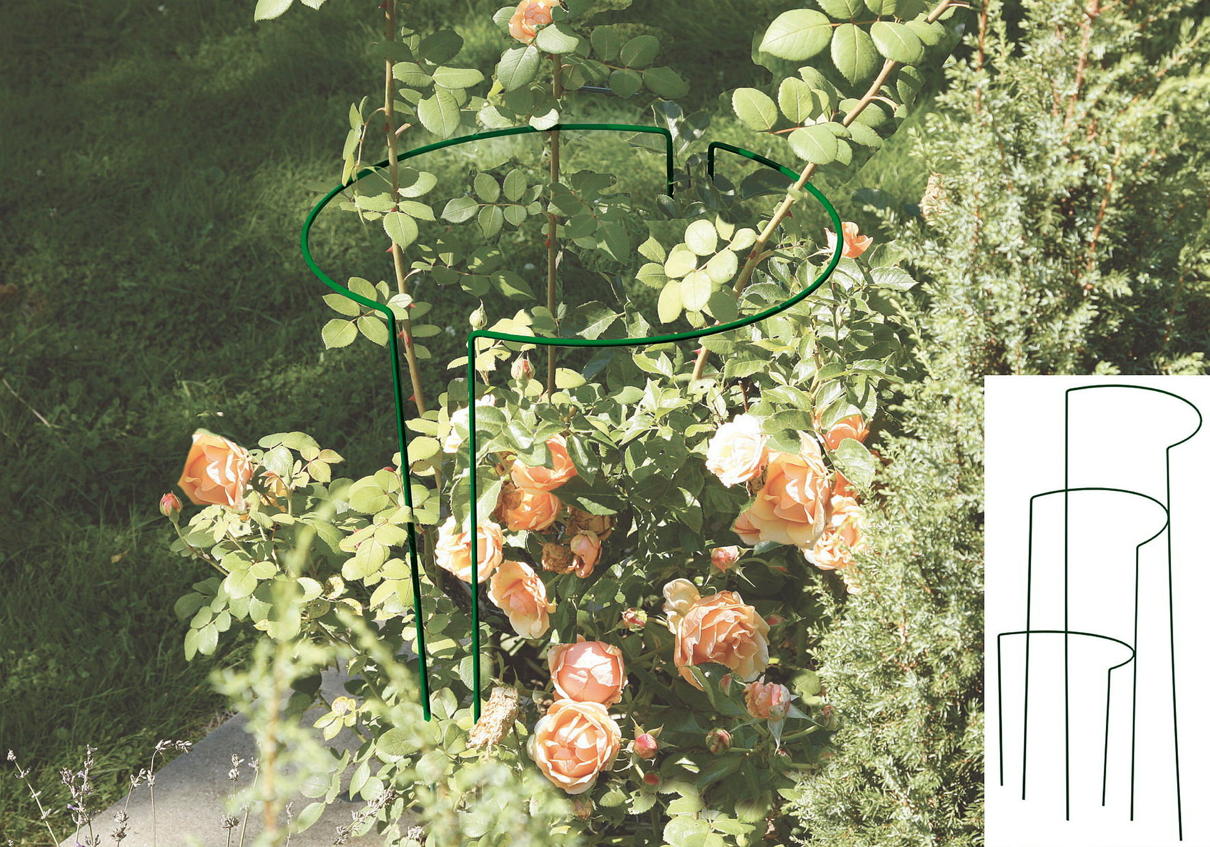 Busch- / Strauchstütze Classic, H:35cm,Stahldr,pulv.besch,grün