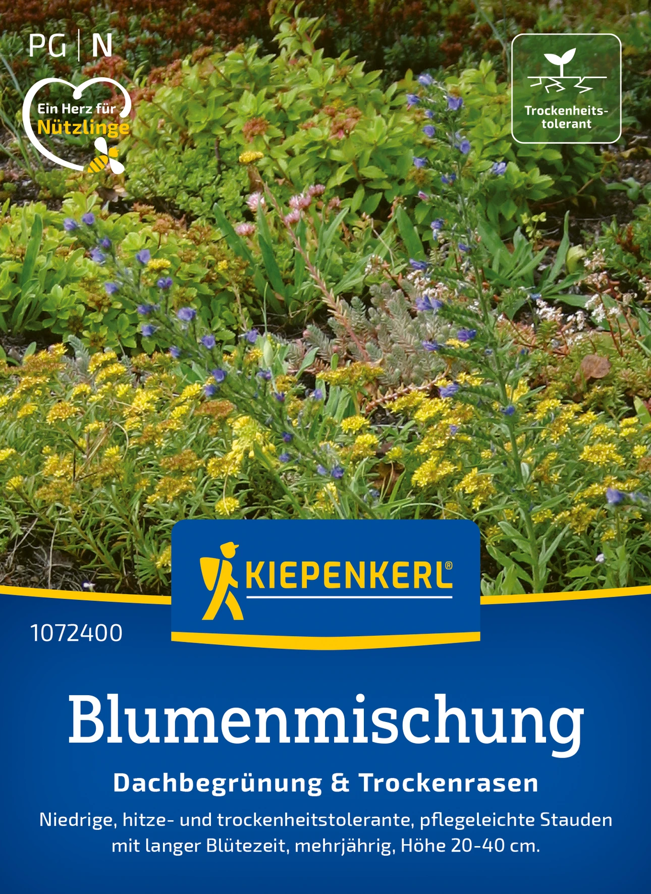 Kiepenkerl Blumenmischung Dachbegrünung & Trockenrasen