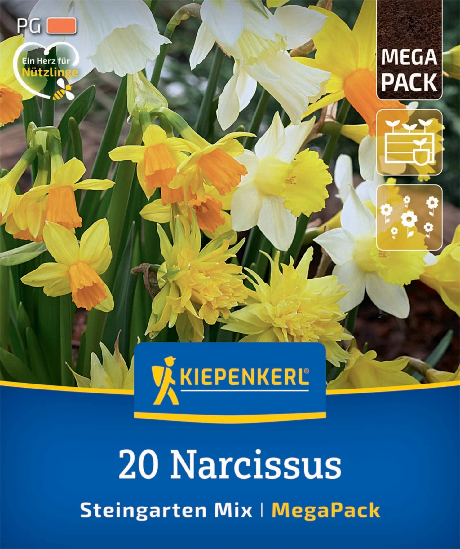 Mega-Pack Steingarten-Narzissen Mischung