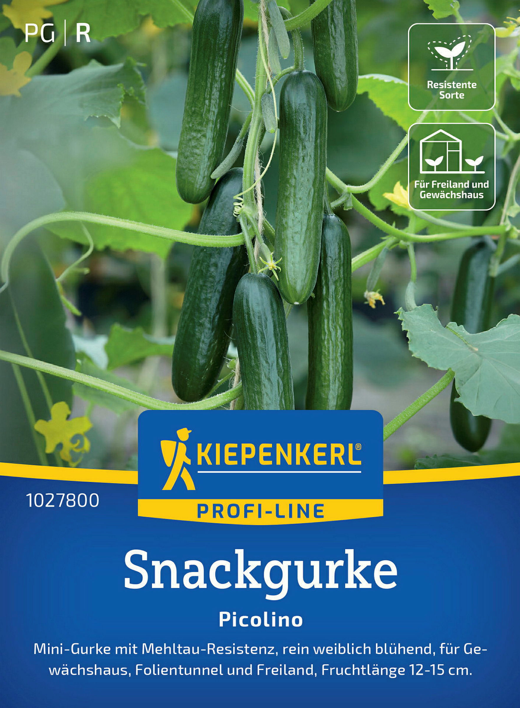 Kiepenkerl Snackgurke Picolino, F1