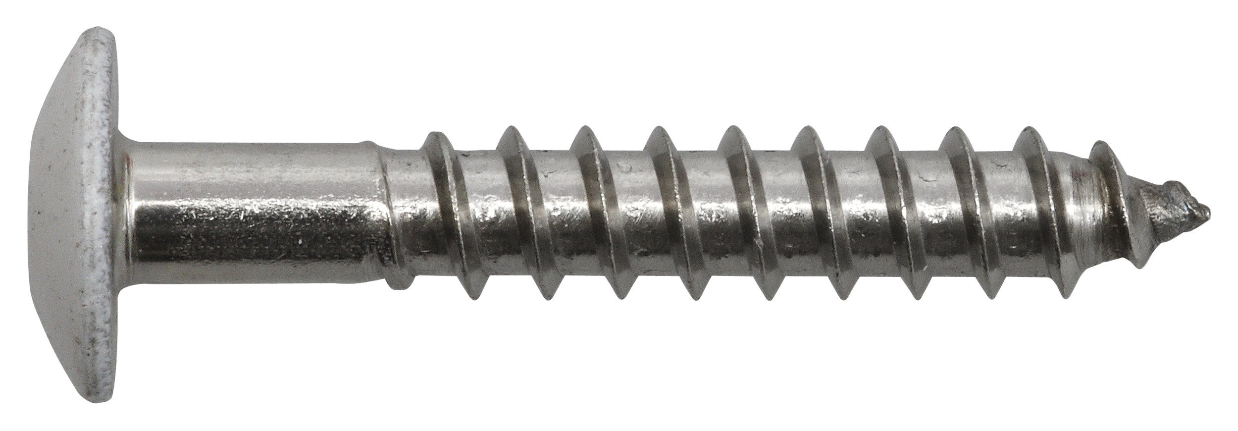 Fassadenschraube 5,5 x 45, A4, RAL 9010 weiß