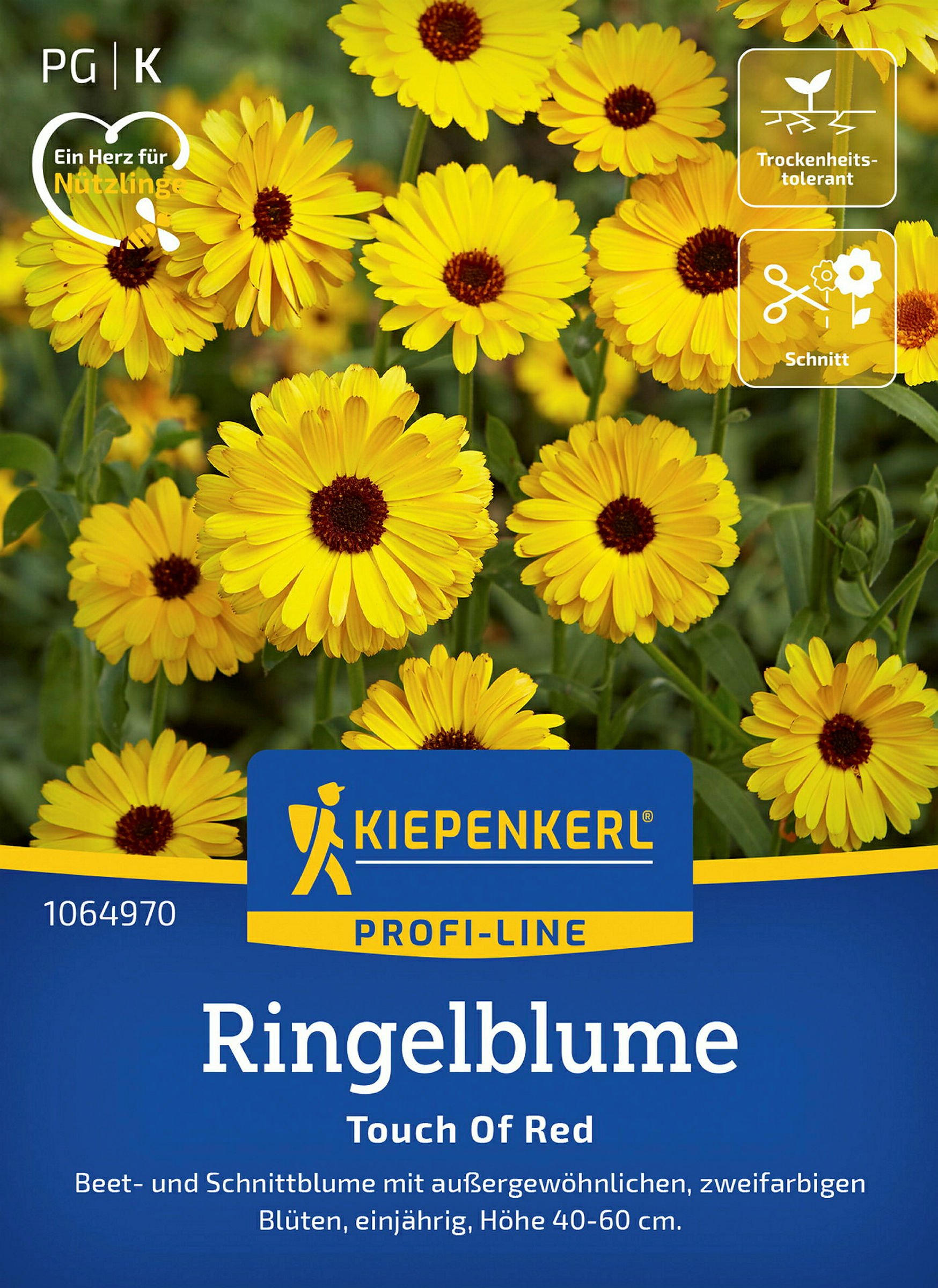 Kiepenkerl Ringelblume Touch Of Red