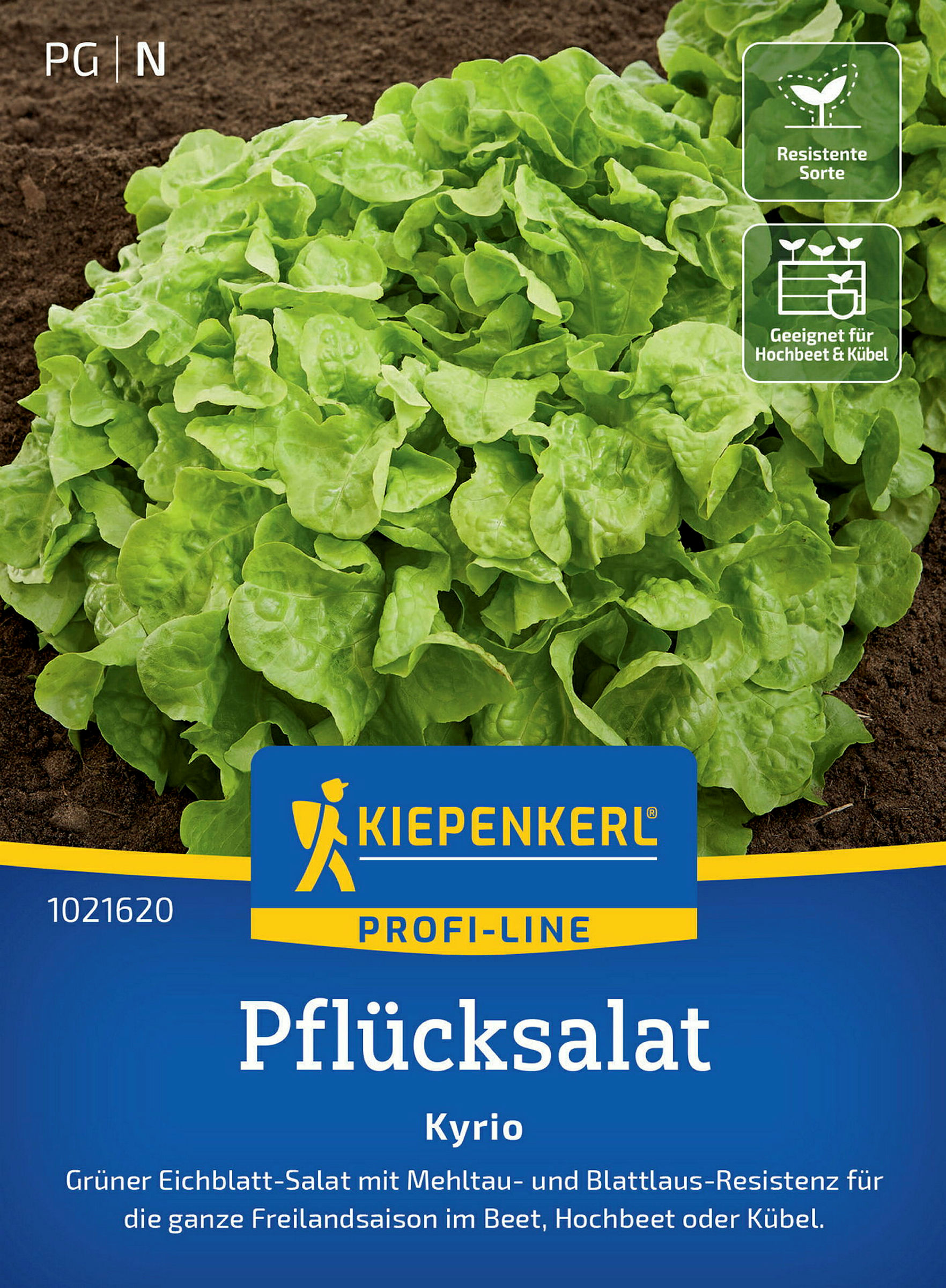 Kiepenkerl Pflücksalat Kyrio