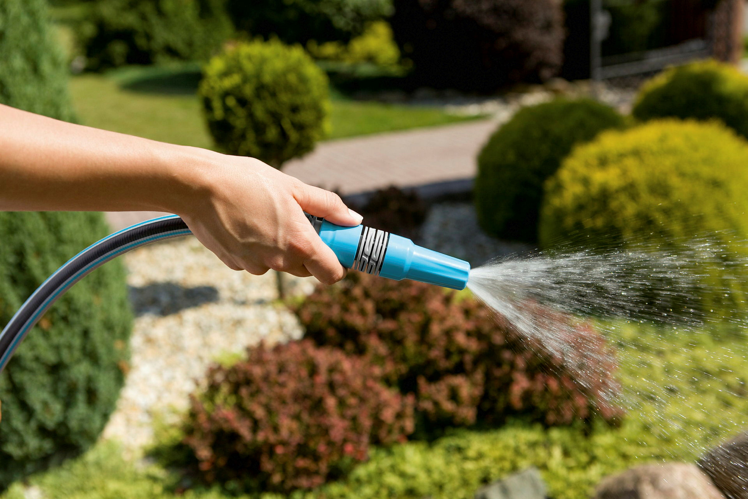 Einfache Spritze CELLPRO