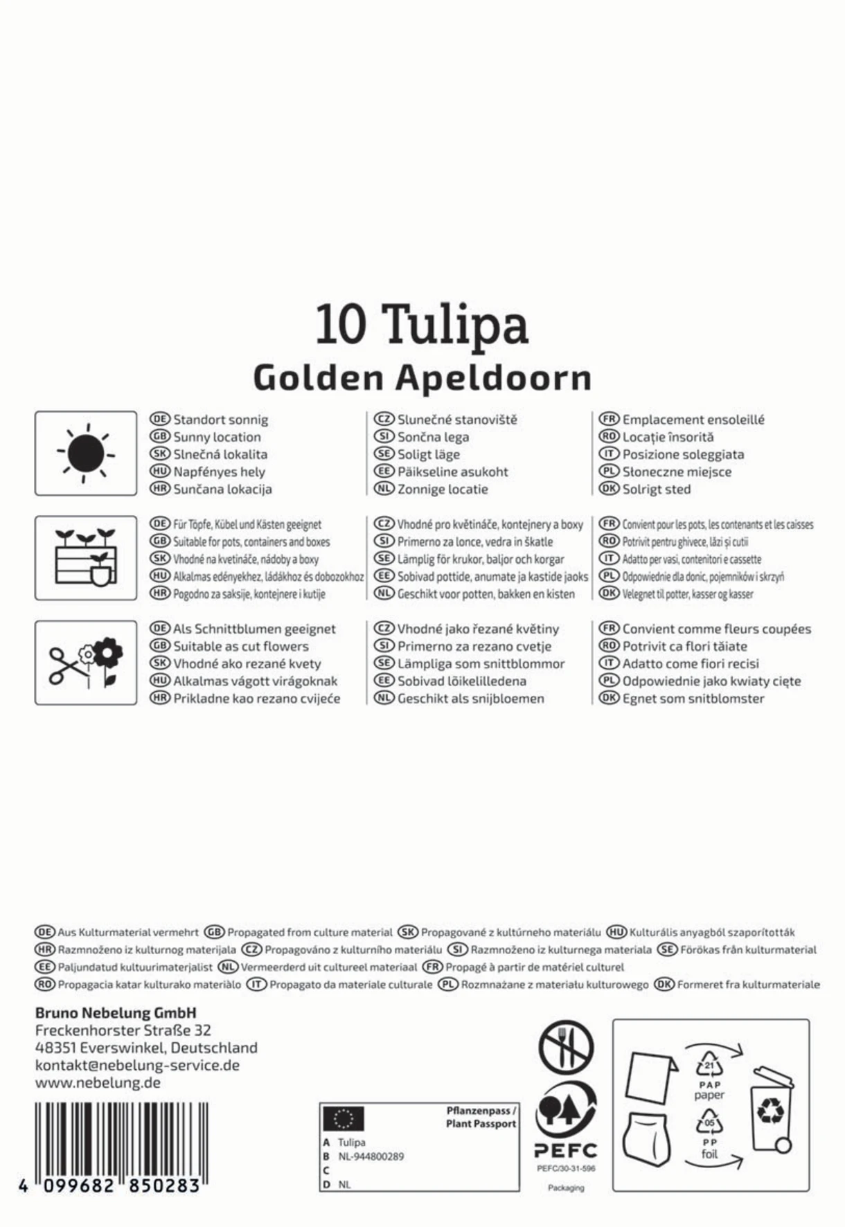Darwin-Hybrid-Tulpe Golden Apeldoorn