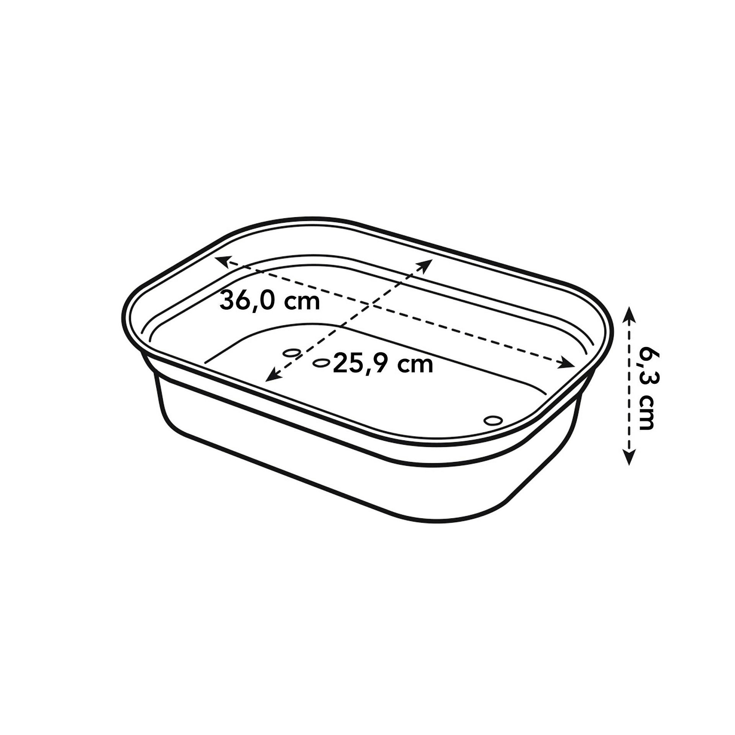 Elho Green Basics Anzucht Schale M - Grün - L 36 x B 26.5 x H 6 cm - Innen,
