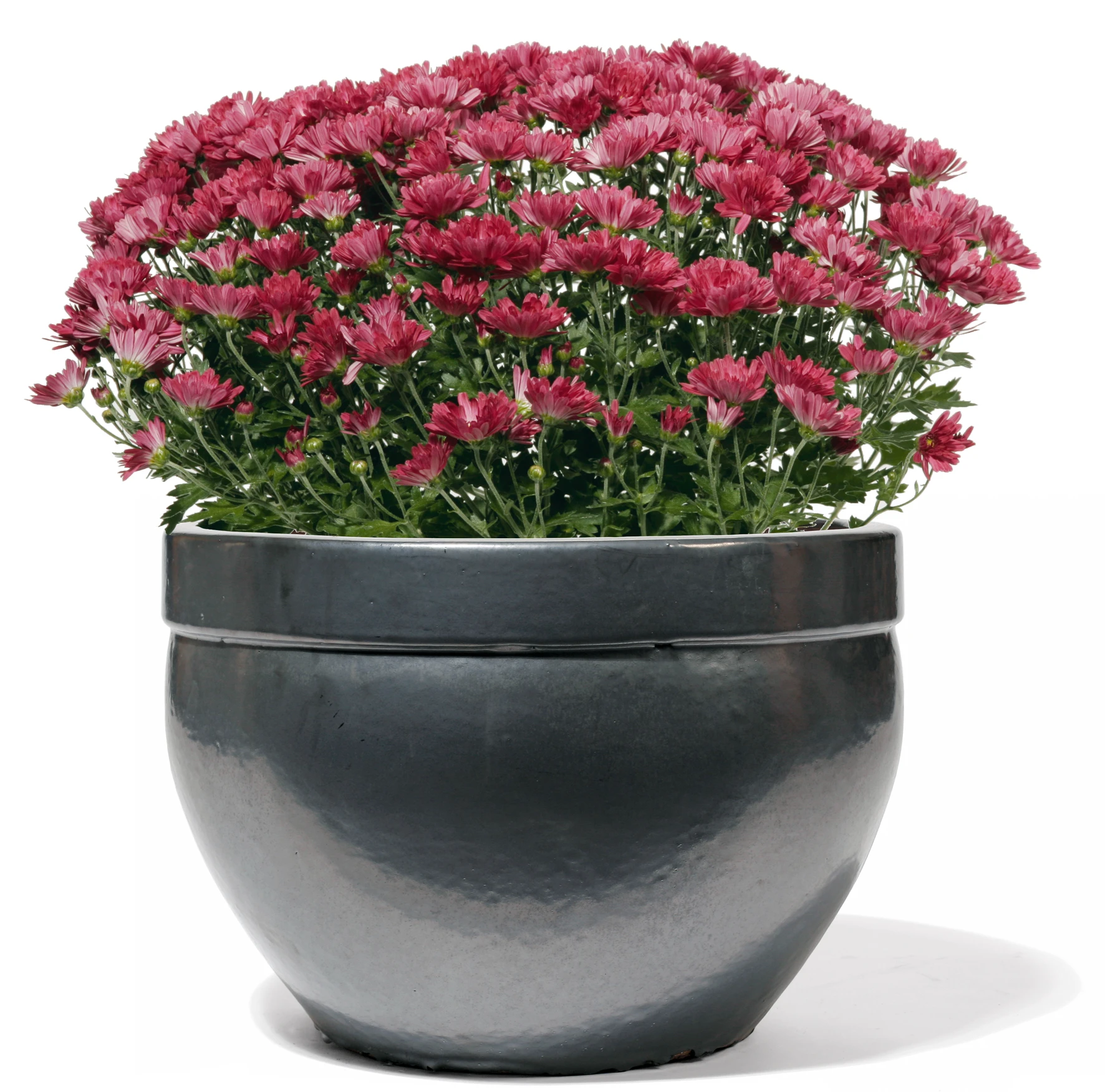 Kyros graphit glasiert 28cm