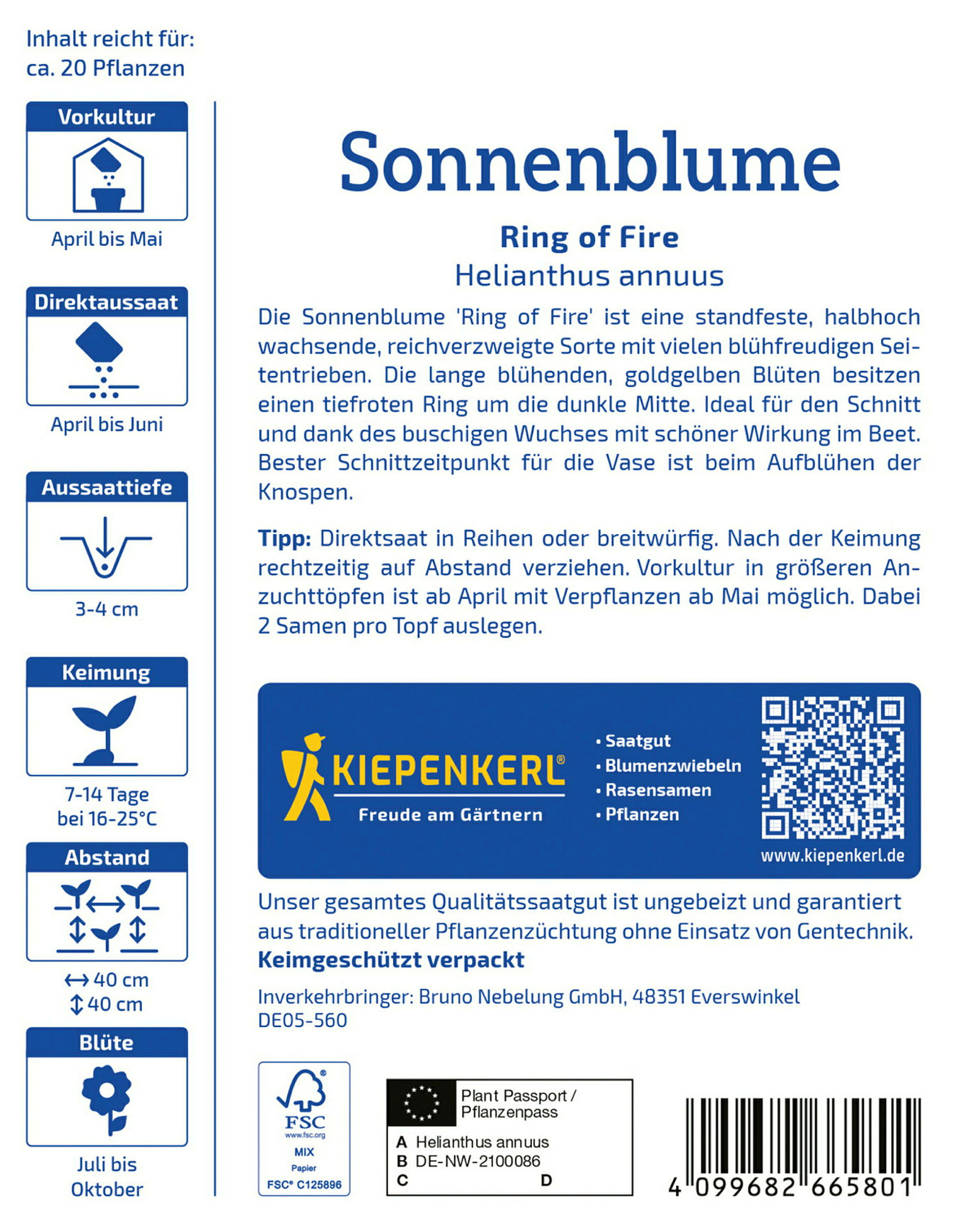 Kiepenkerl Sonnenblume Ring of Fire