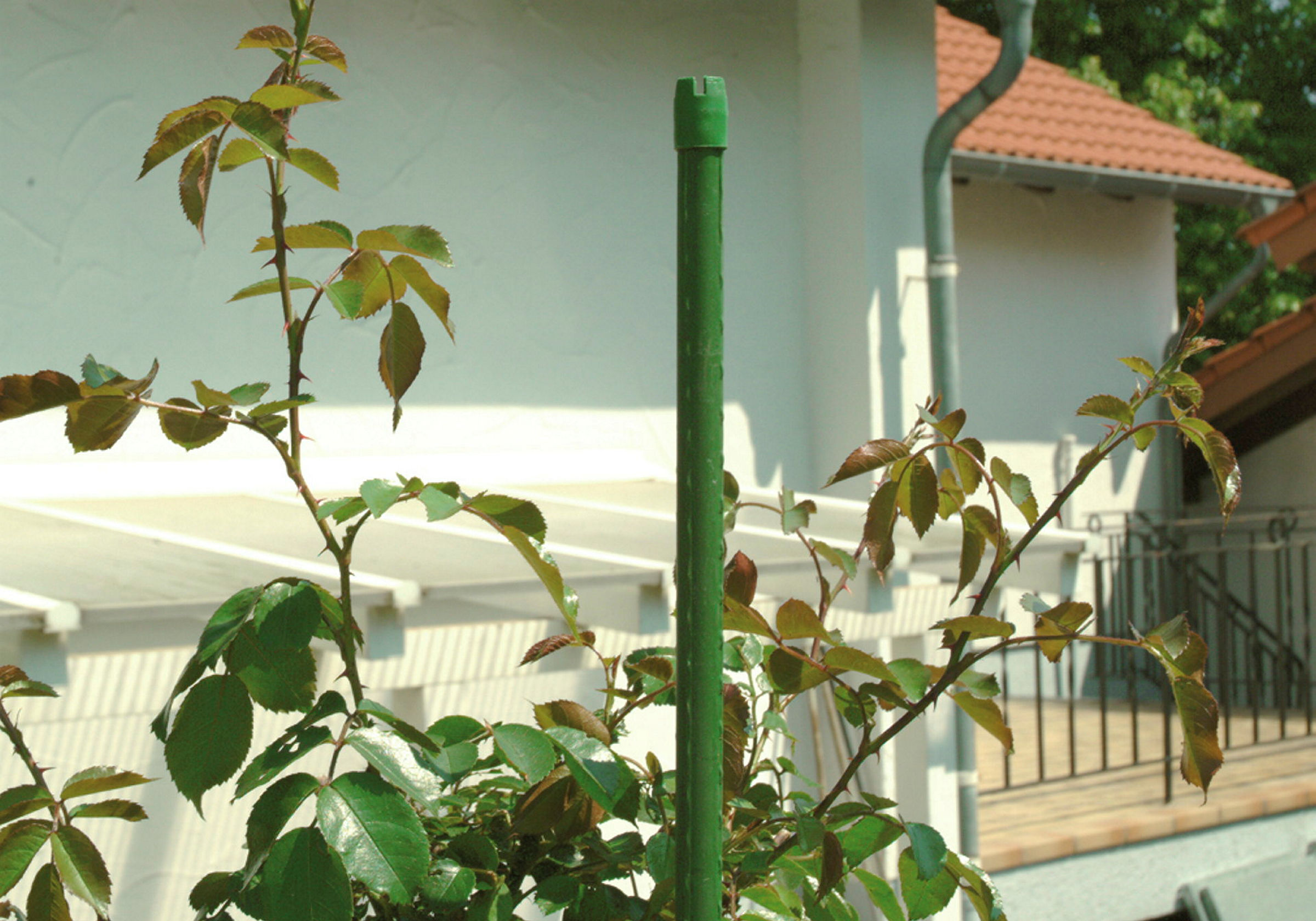 Pflanzstab Classic, Ø 11mm, L:150cm, grün, Stahl